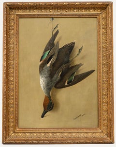 R. Waller - Huile encadrée de 1895, sarcelle d'hiver
