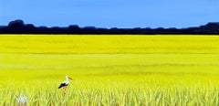 Used Rapeseed field and stork, Ukraine  by Vokiana