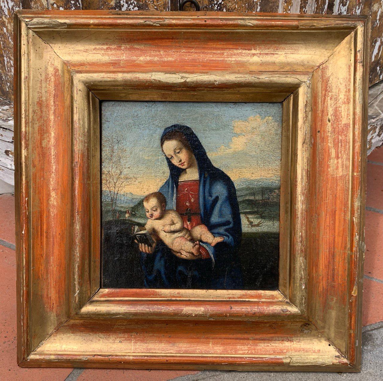 Werkstatt von Raphael (umbrische Renaissance) - 16. Jahrhundert Figurenmalerei - Jungfrau (Schwarz), Figurative Painting, von Unknown