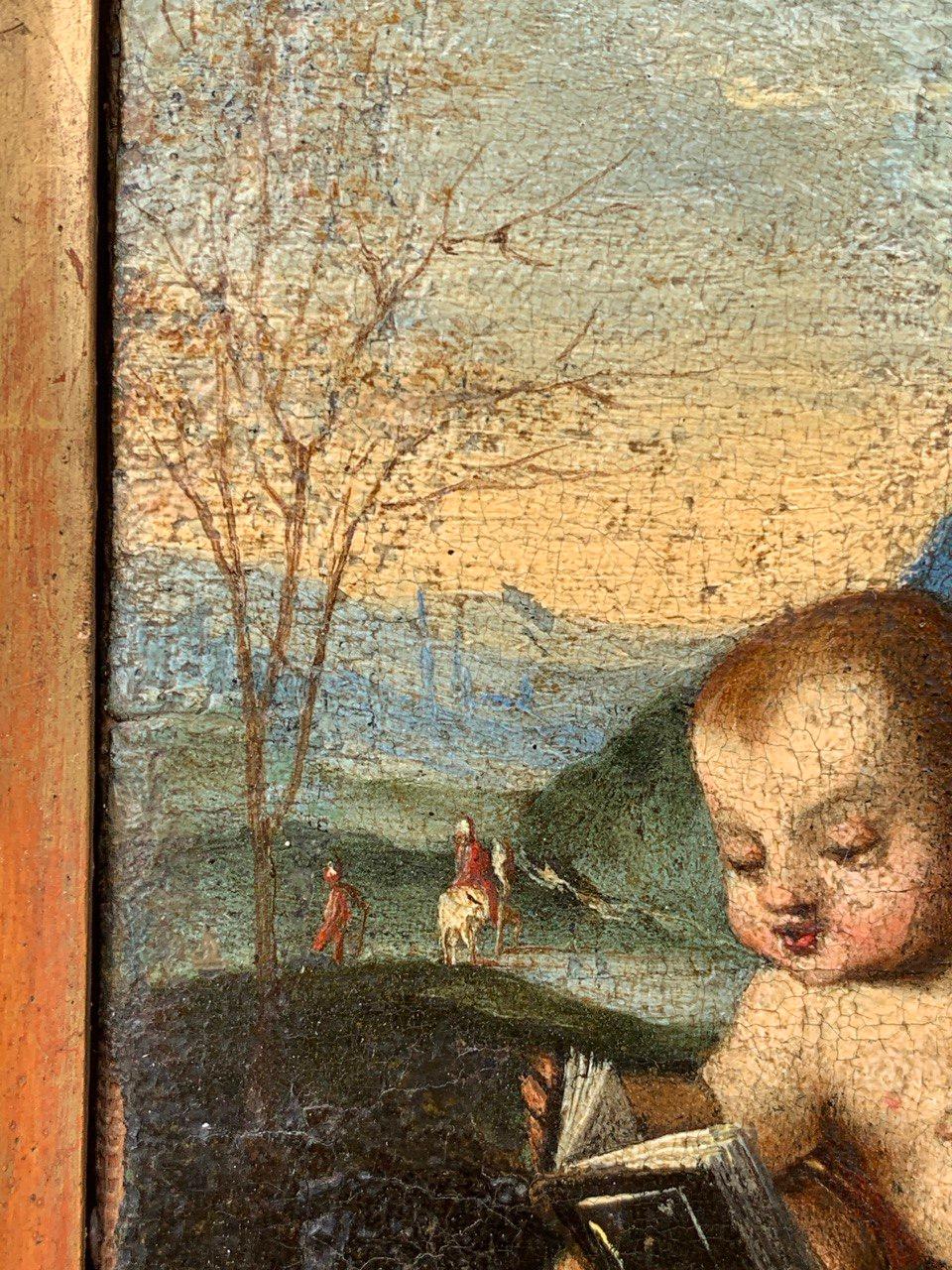 Werkstatt von Raphael (umbrische Renaissance) - 16. Jahrhundert Figurenmalerei - Jungfrau im Angebot 1