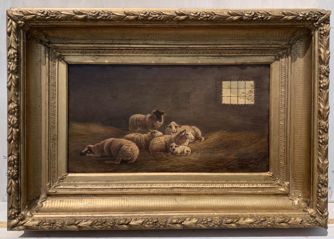 Realist Italian painter - 19th century animal painting - Sheep - Oil on canvas - Painting by Unknown