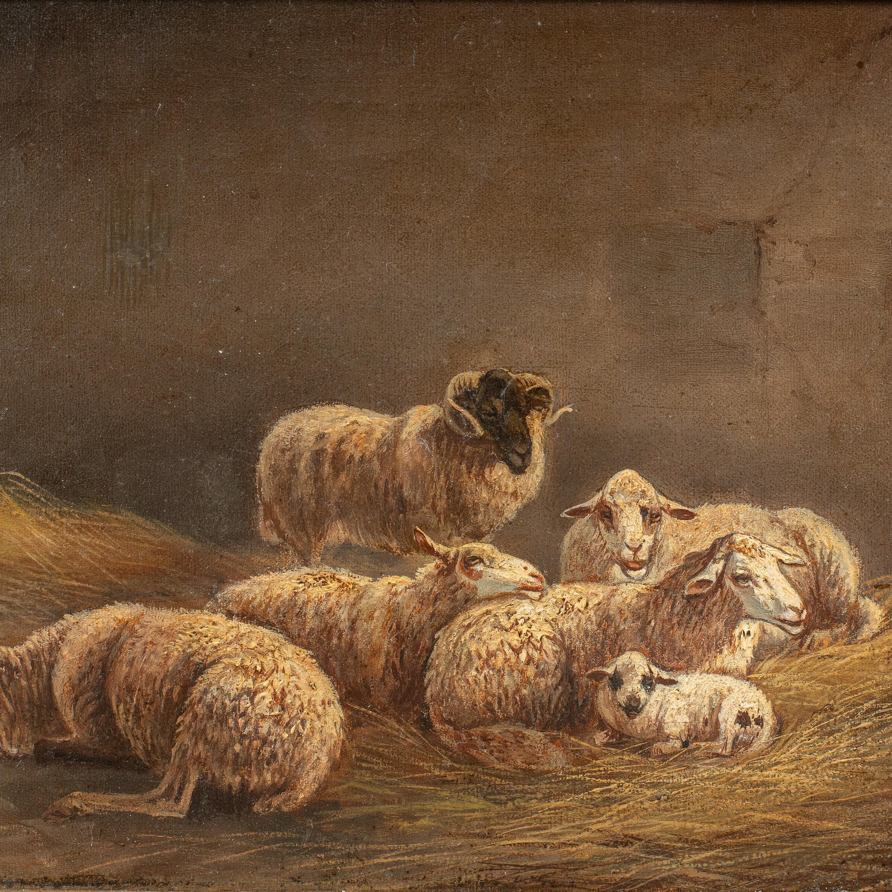Pintor realista italiano - Pintura de animales del siglo XIX - Oveja - Óleo sobre lienzo - Painting de Unknown