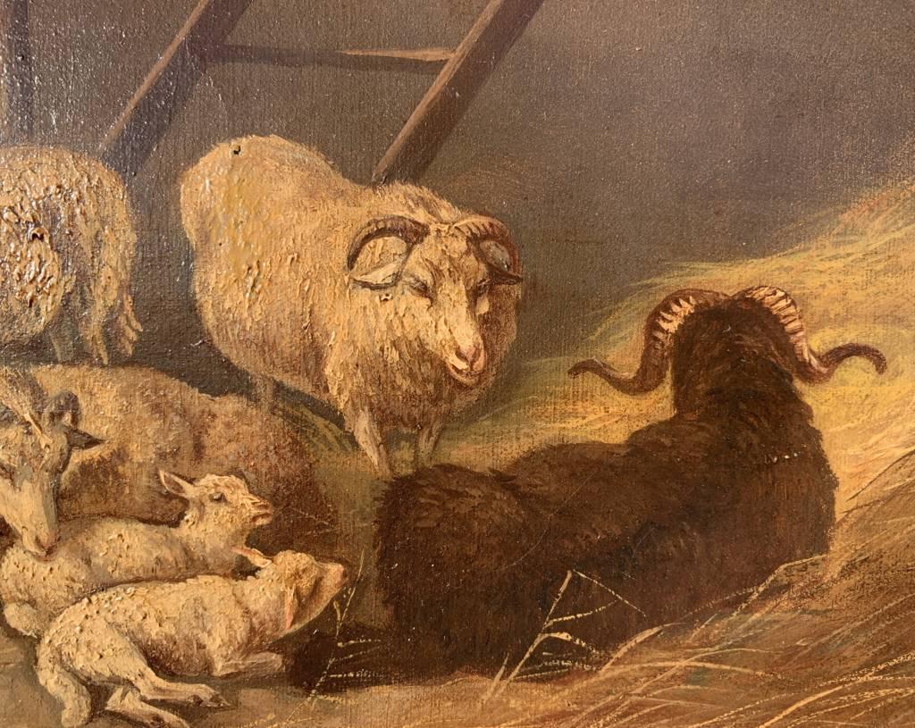 Realistischer italienischer Maler des 19. Jahrhunderts – Tiermalerei des Realismus – Schafe – Öl auf Leinwand im Angebot 1