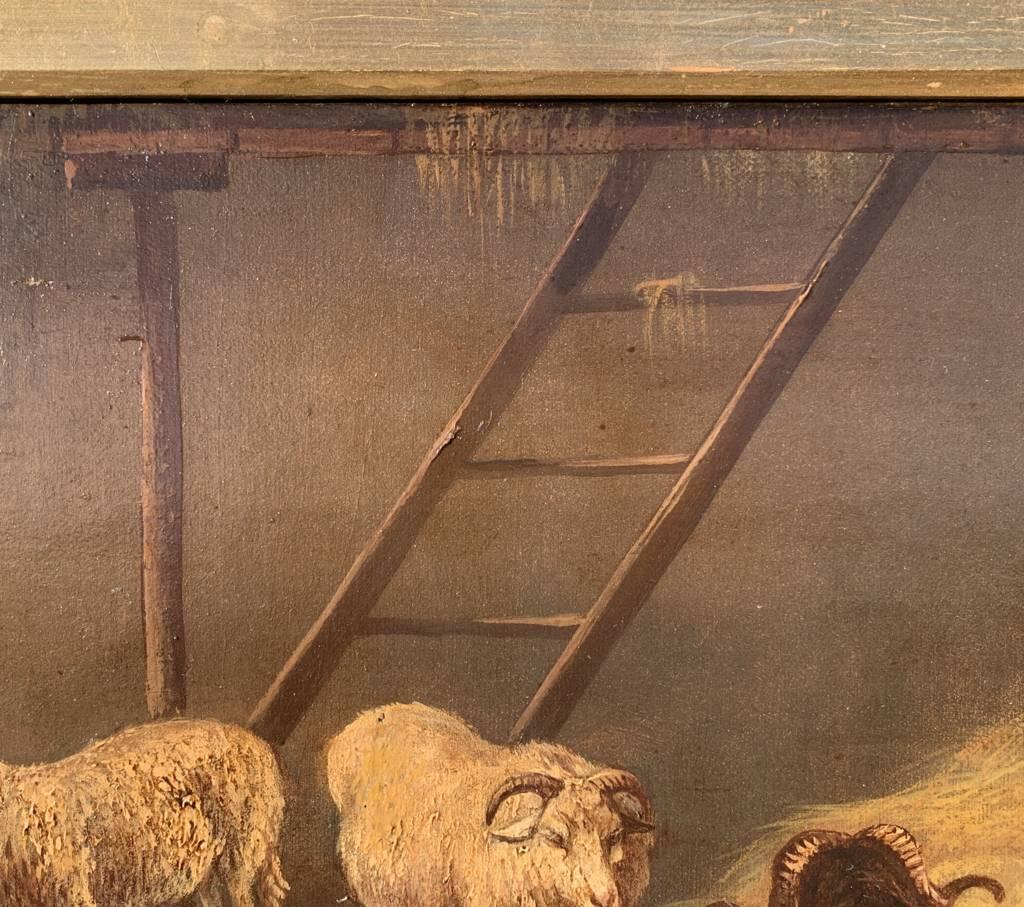Realist Italian painter - 19th century animal painting - Sheep - Oil on canvas For Sale 5