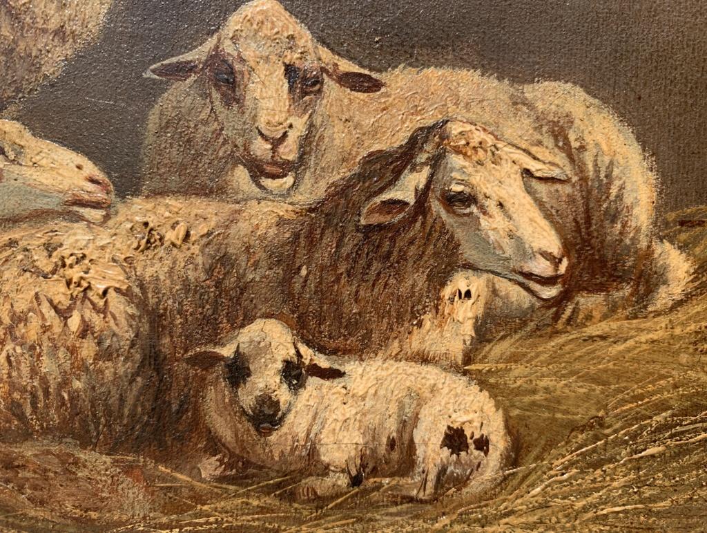 Realist Italian painter - 19th century animal painting - Sheep - Oil on canvas For Sale 4