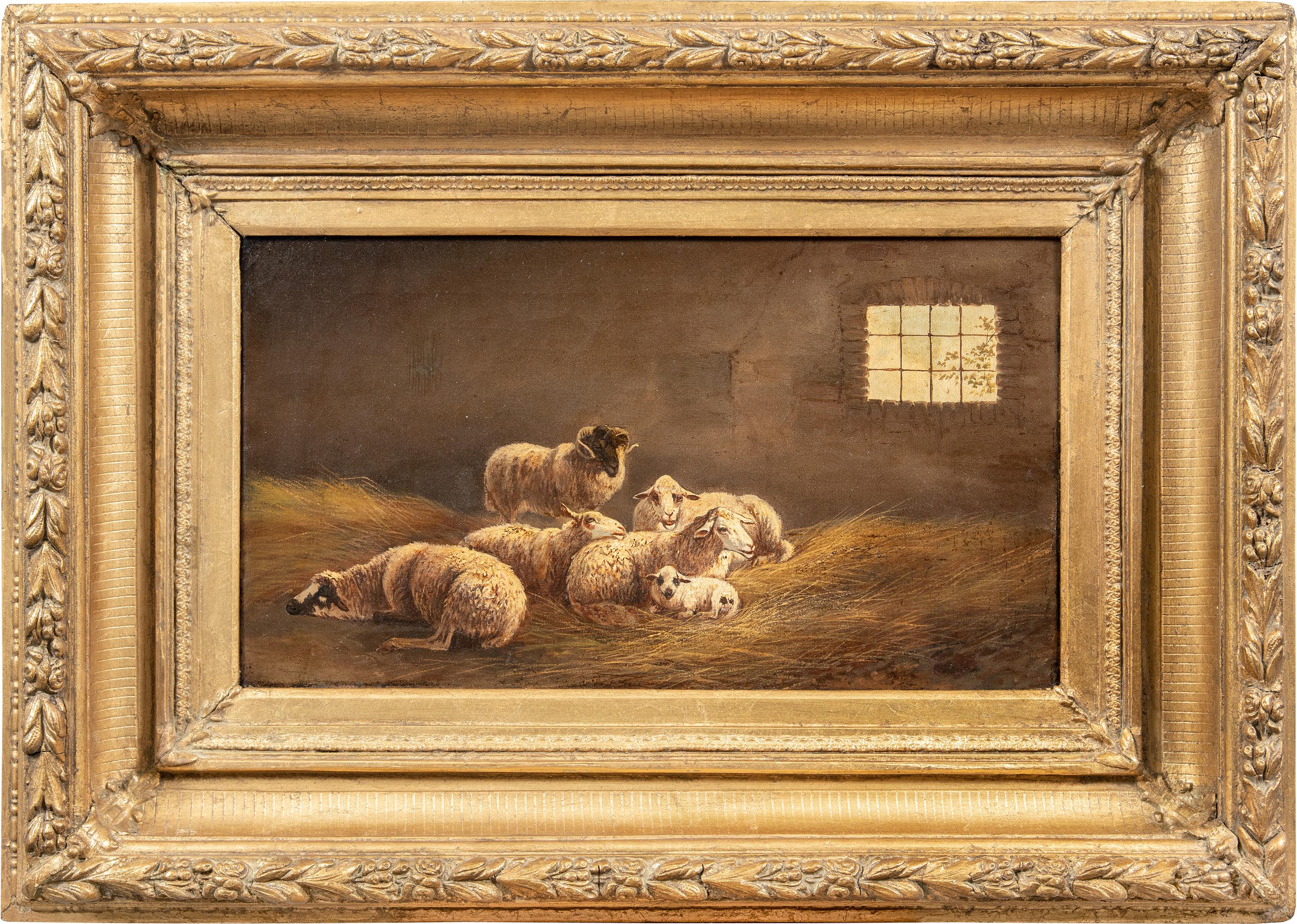 Animal Painting Unknown - Peintre réaliste italien - Peinture animalière du 19e siècle - Mouton - Huile sur toile