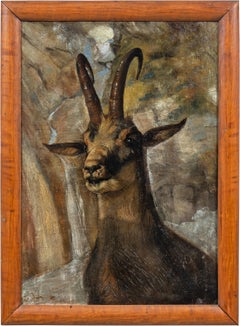 Realist painter (Italian school) - Late 19th century animal painting - Chamois