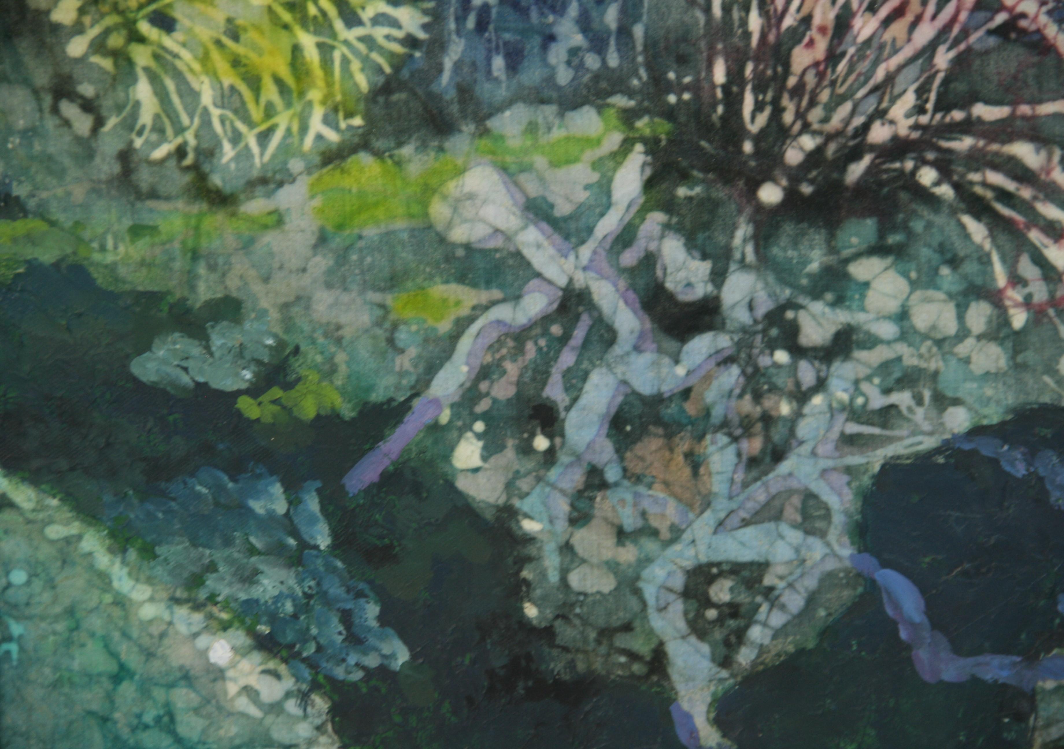 Rote Koralle in tiefblauem Meer im Angebot 2