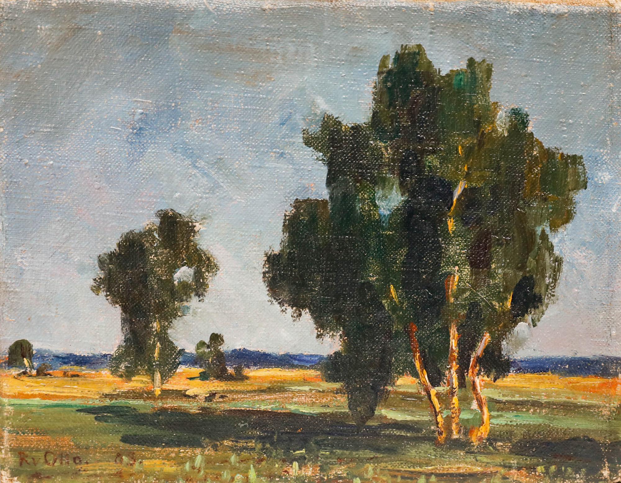 Rudolf Otto Von Ottenfeld (1856-1913) - Huile de 1903, Vue d'un champ - Painting de Unknown