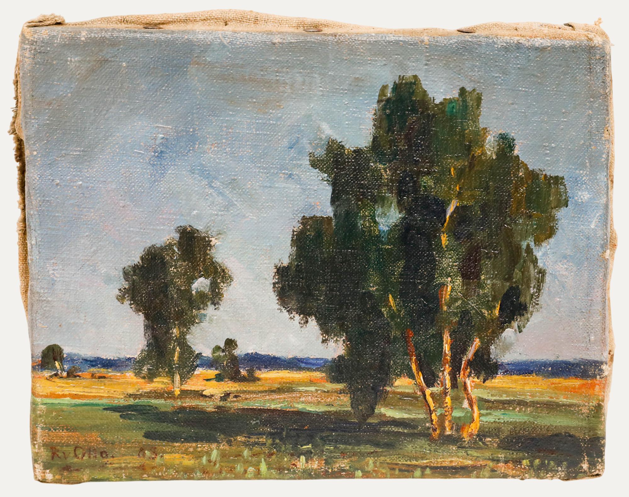 Landscape Painting Unknown - Rudolf Otto Von Ottenfeld (1856-1913) - Huile de 1903, Vue d'un champ