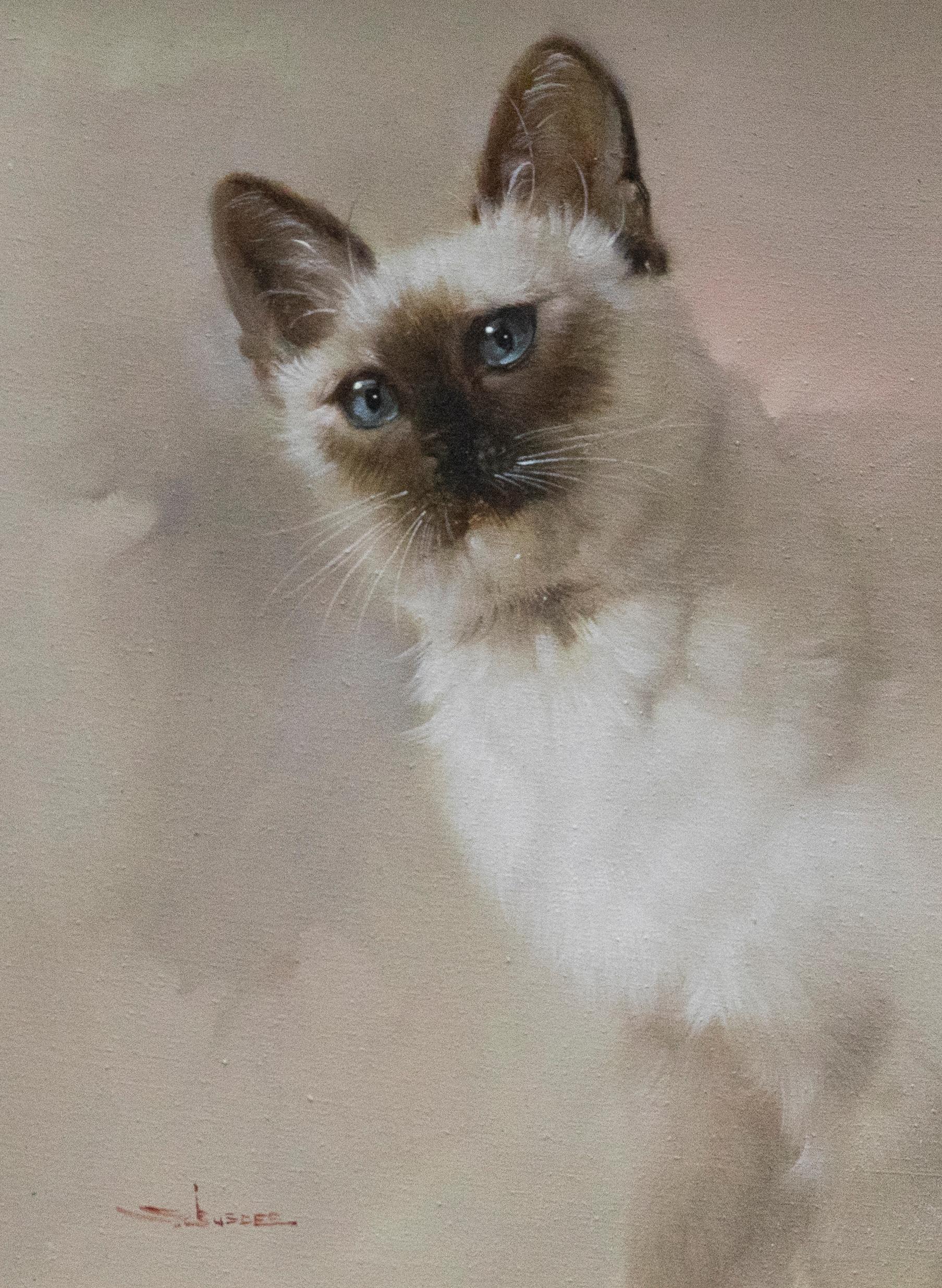S. Suscee - Olio del XX secolo incorniciato, Ritratto di un gatto birmano - Painting di Unknown
