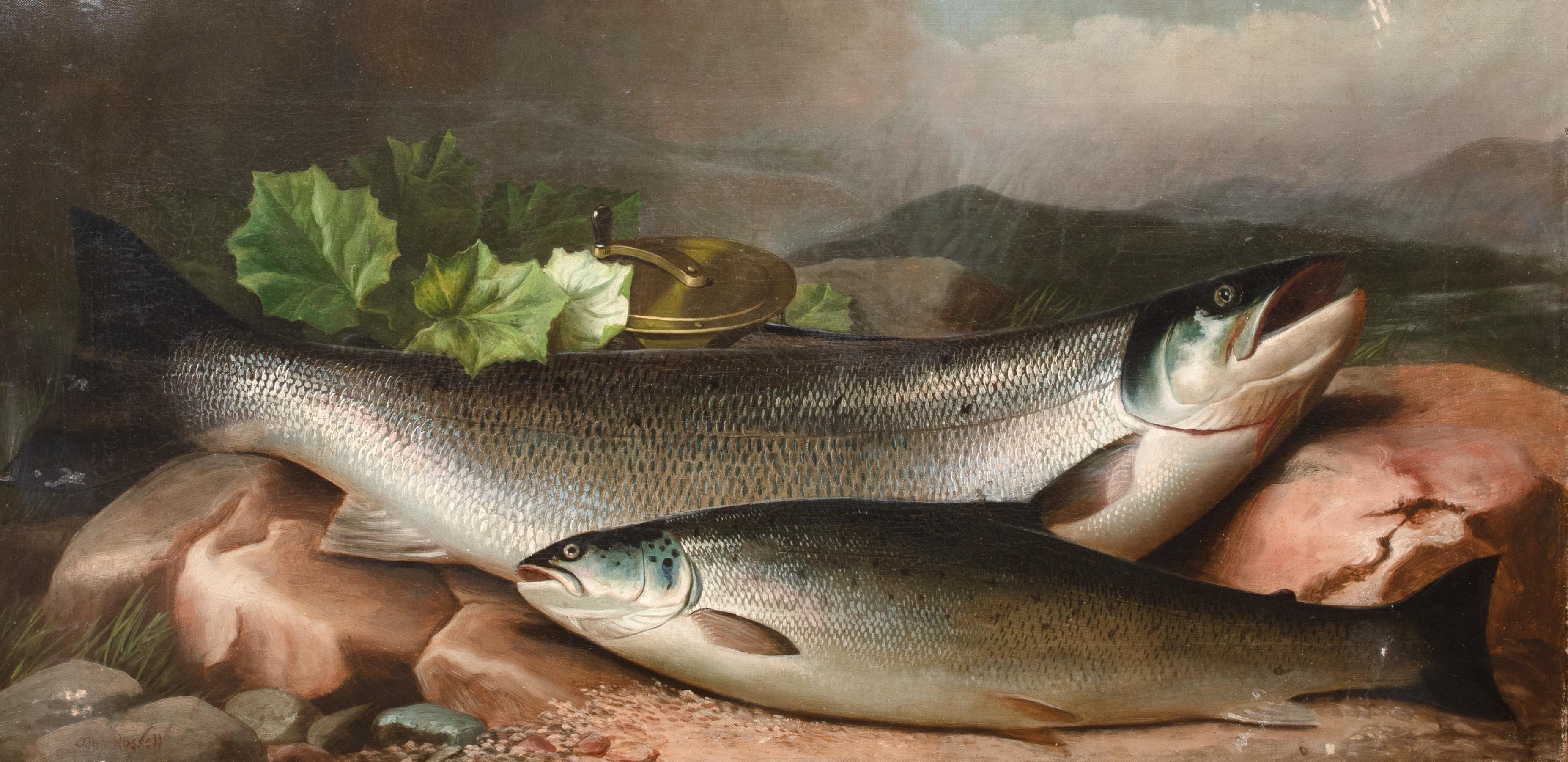 Saumon sur la rive, 19e siècle  par JOHN BUCKNELL RUSSELL (1819-1893) - Marron Animal Painting par Unknown