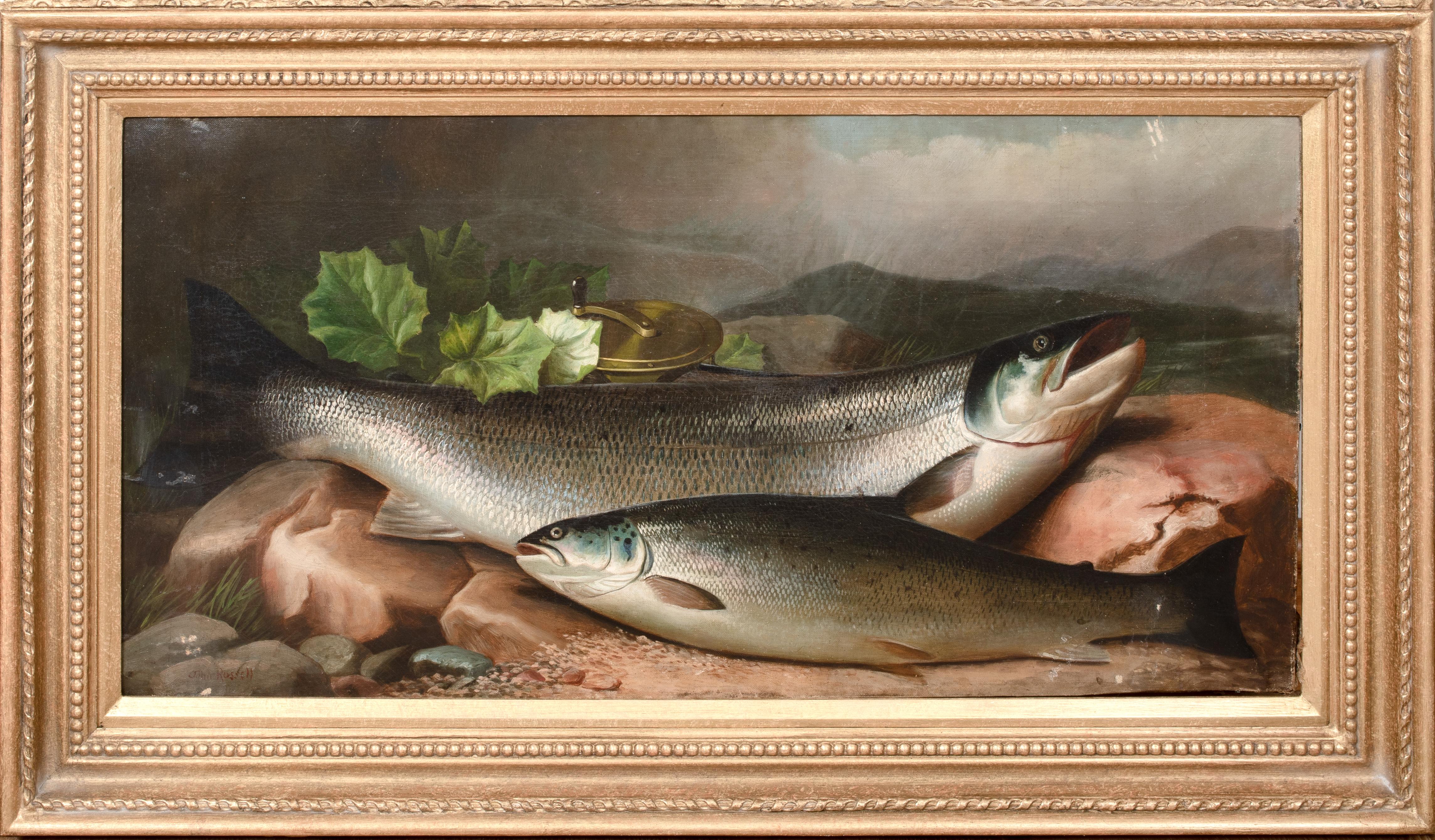 Animal Painting Unknown - Saumon sur la rive, 19e siècle  par JOHN BUCKNELL RUSSELL (1819-1893)