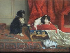 Salon Dogs