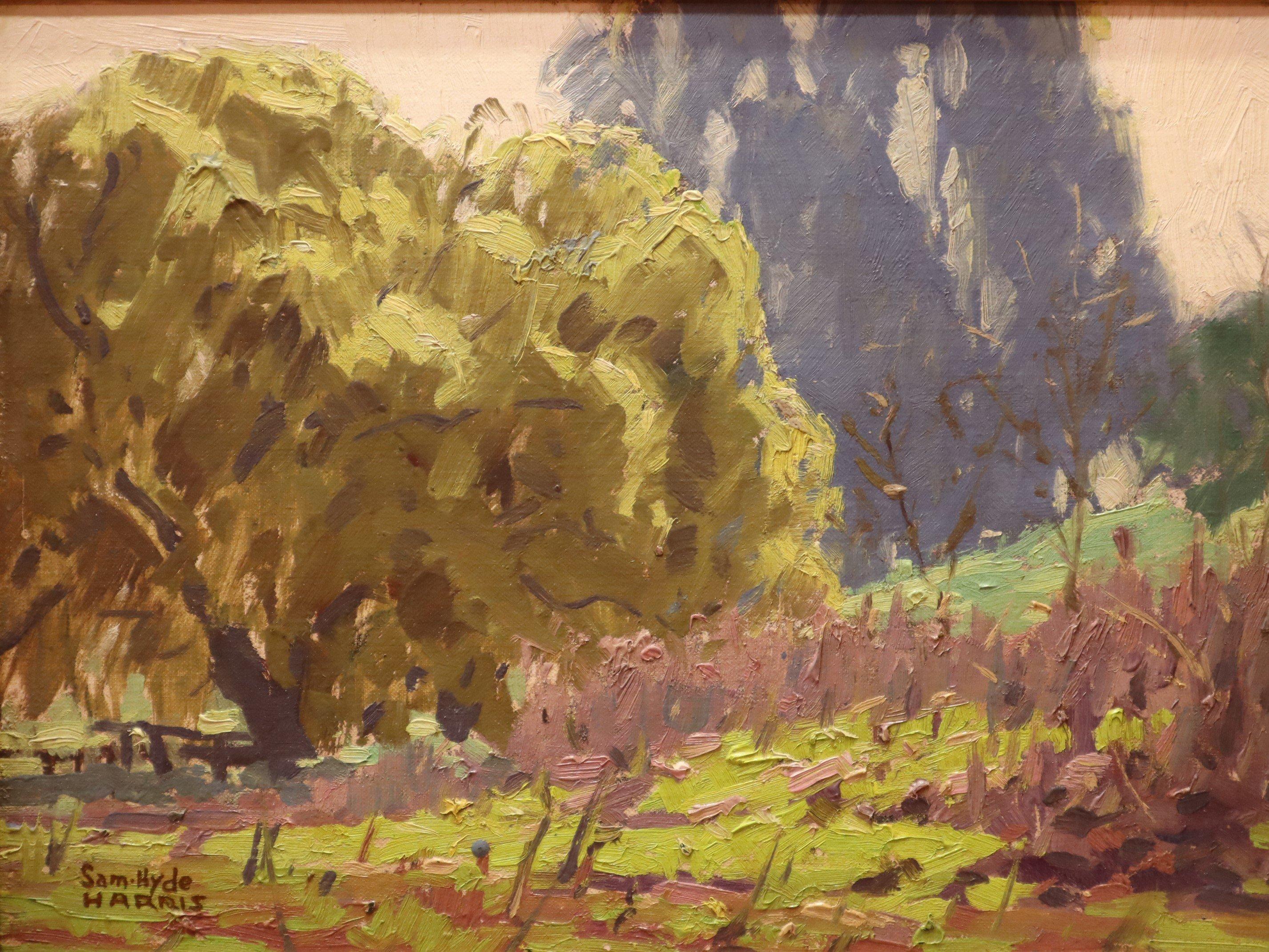 Paesaggio impressionista americano di Sam Hyde Harris - Painting di Unknown