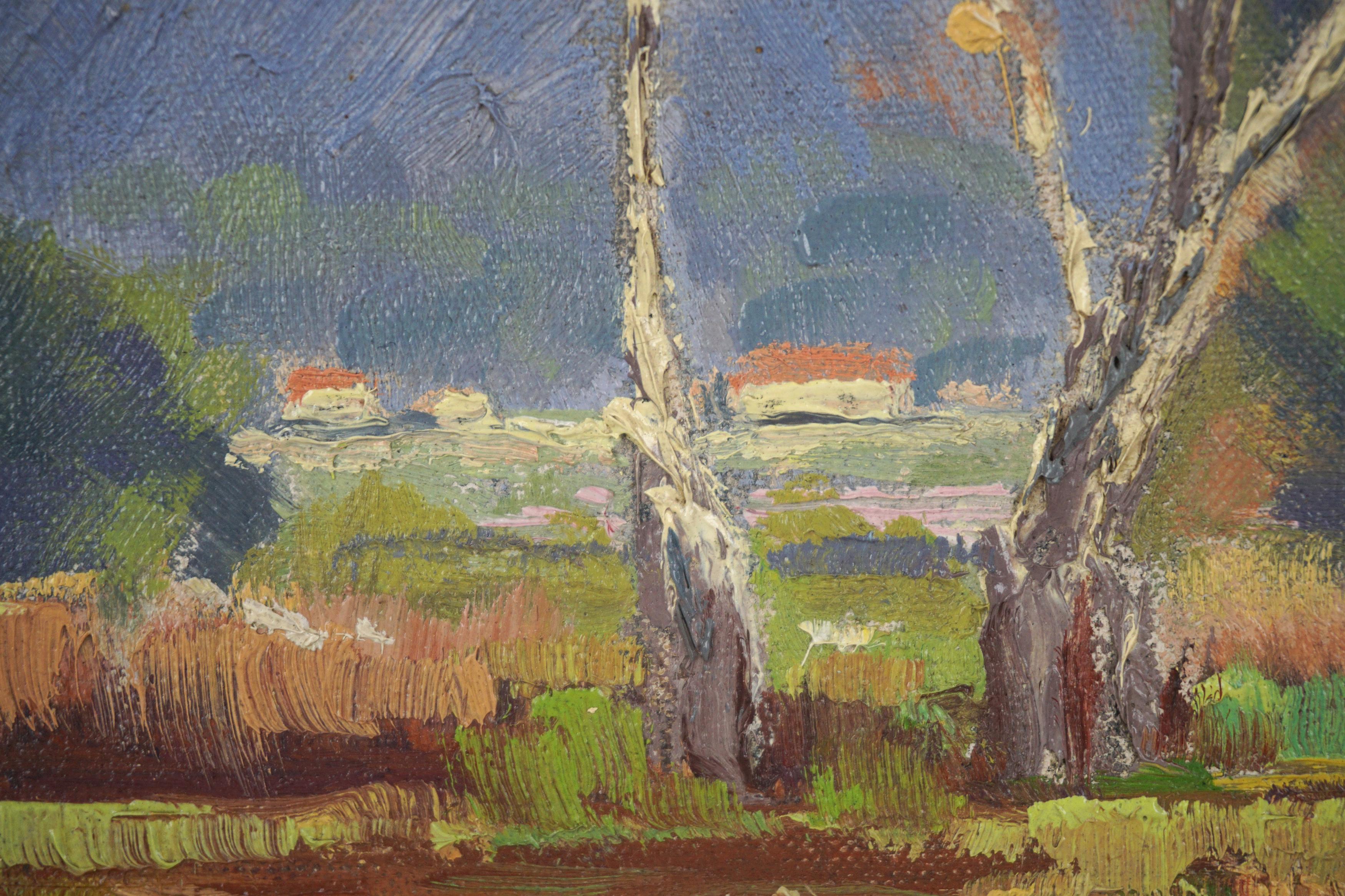 Montagne di San Gabriel in un paesaggio autunnale Scuola della California 1930 - Painting Impressionismo americano di Unknown