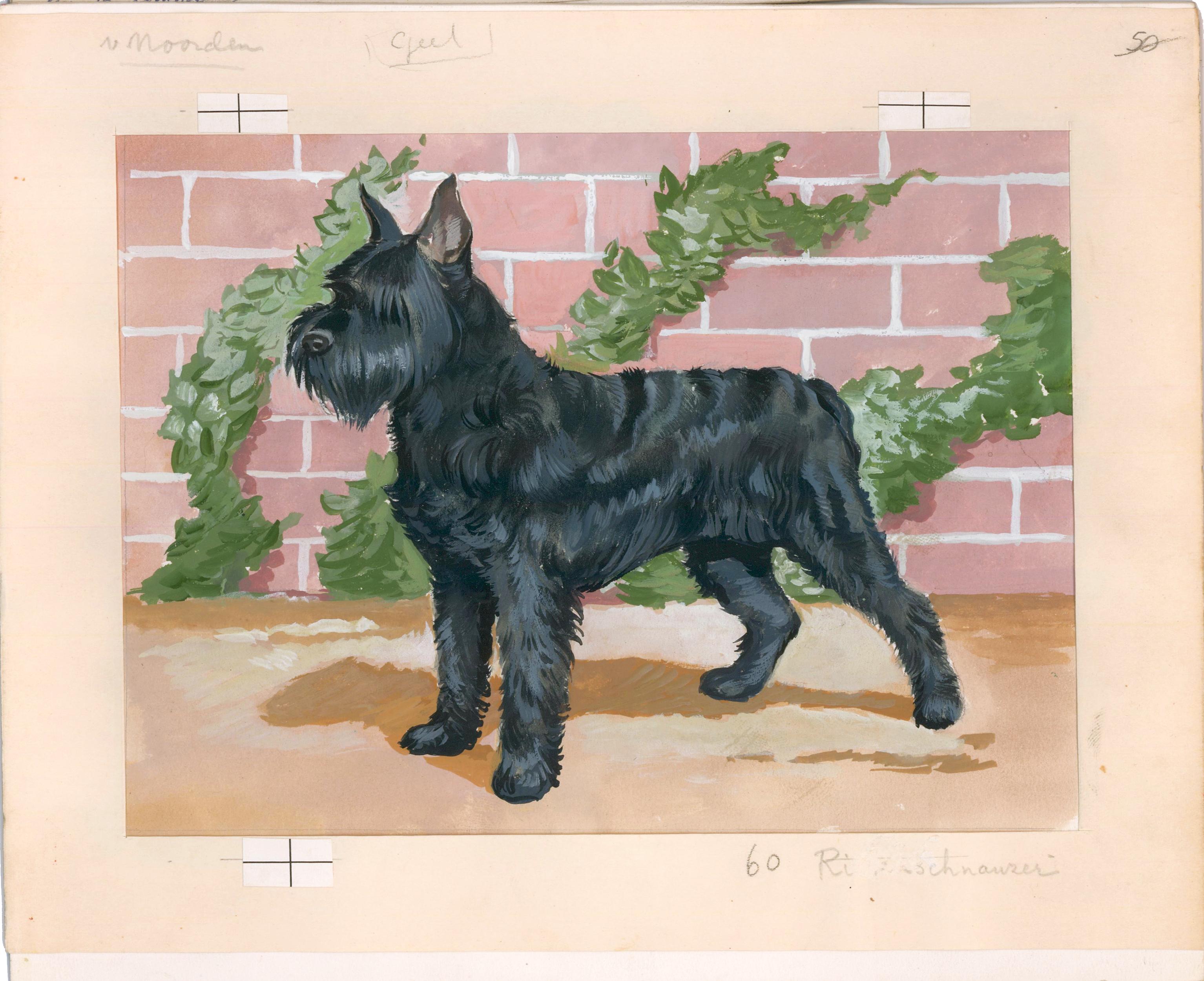 Peinture de Schnauzer - Painting de Unknown