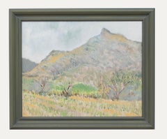 Seiriol Davies - Framed 20th Century Oil, The Pyrenees