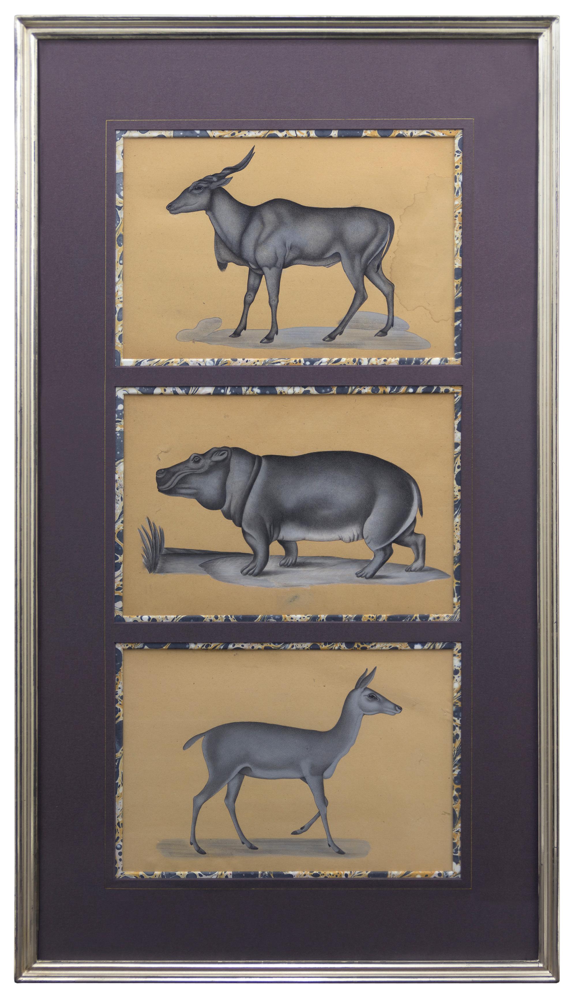 Unknown - Set of 3 Framed Safari Animal Gouaches For Sale at 1stDibs