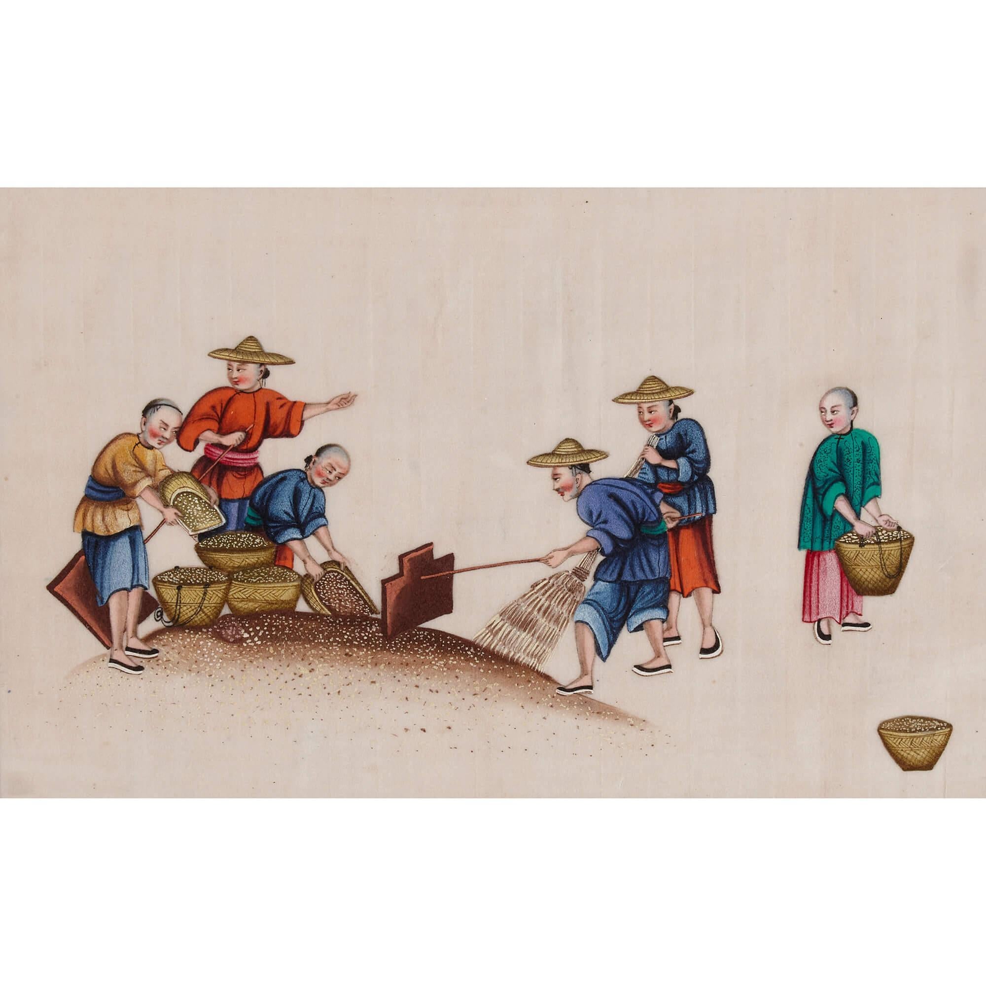 Set of Antique Chinese Pith Paintings Depicting Tea Production  For Sale 3
