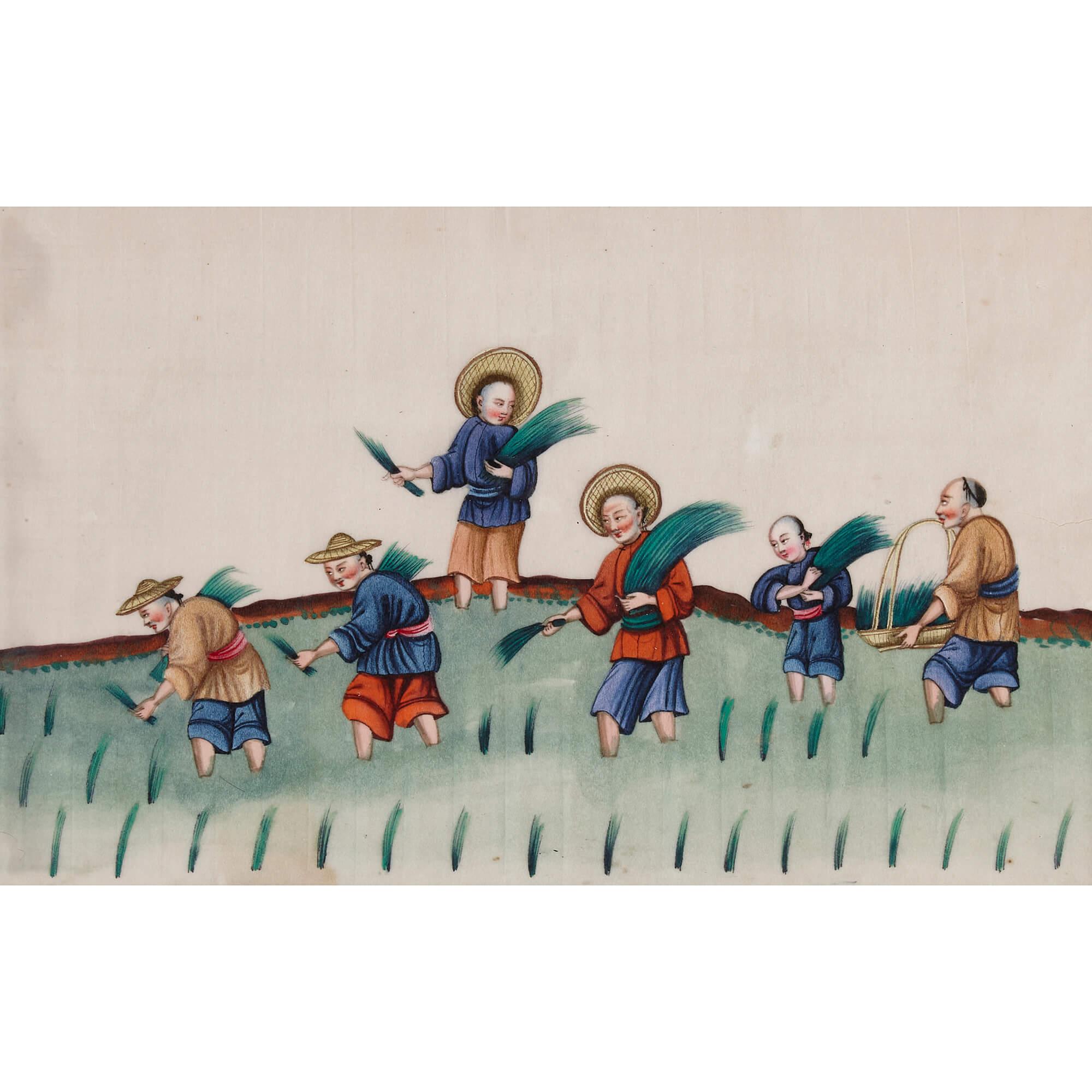 Set of Antique Chinese Pith Paintings Depicting Tea Production  For Sale 5