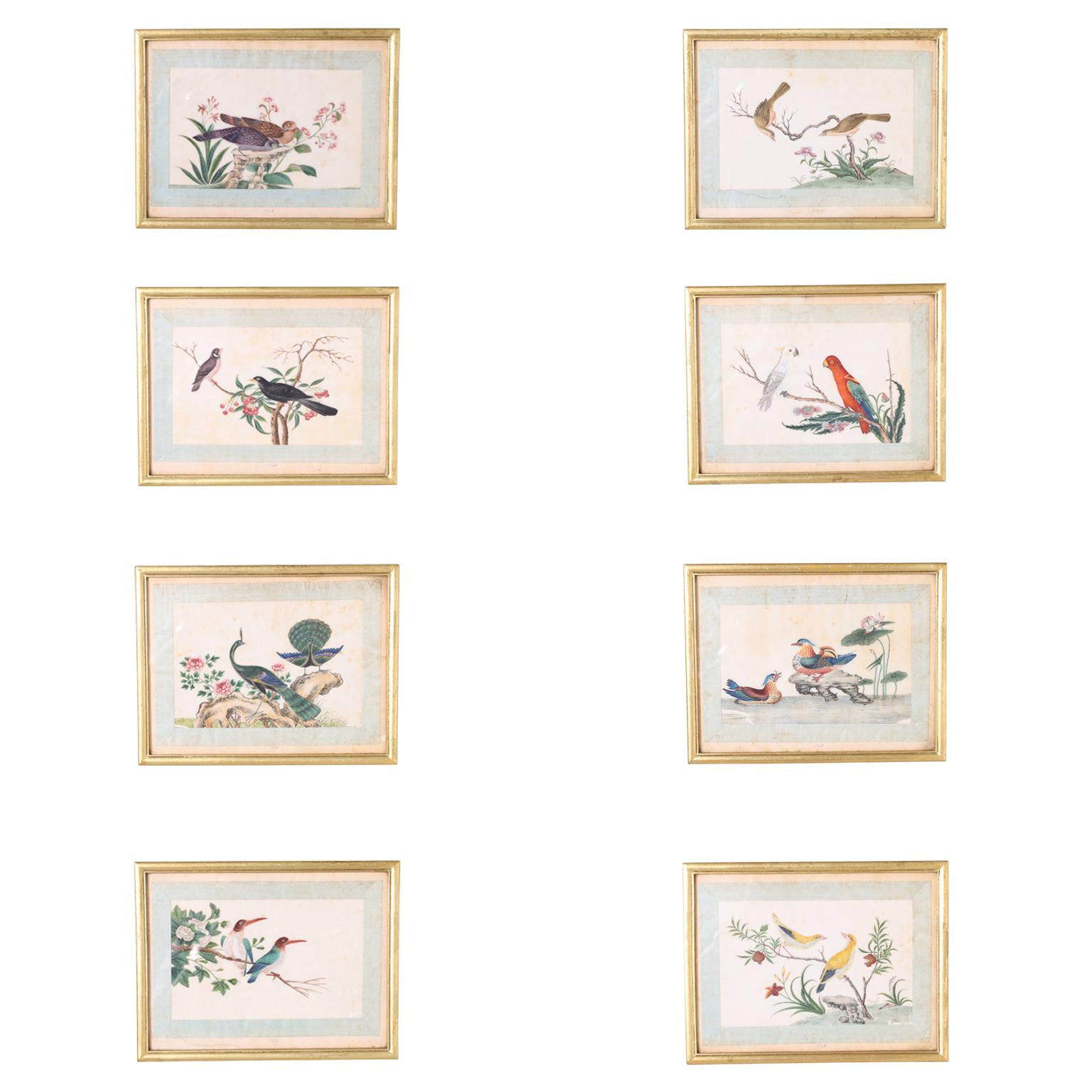 Rare and remarkable set of eight 18th century paintings of birds on silk executed with egg tempera in a delicate yet colorful style. Interesting historical footnote on the back of one. Presented under glass in a gilt wood frame.