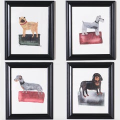 Set of Four Digital Paintings of Dog Breeds
