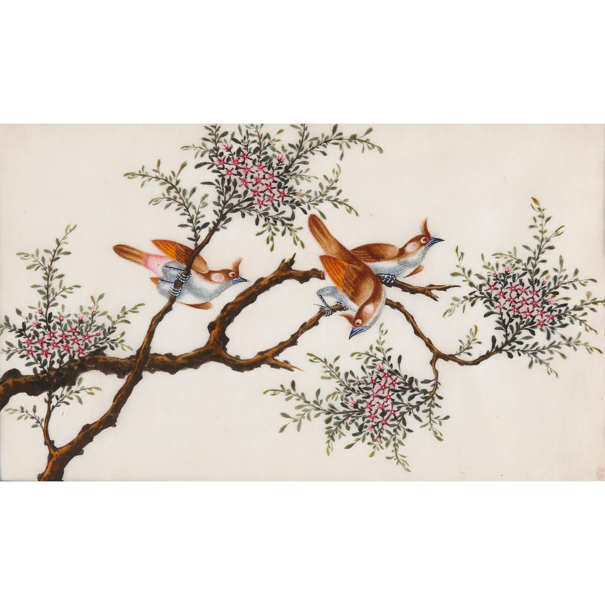 Set of Twelve Antique Chinese Painted Bird Studies on Pith Paper - Painting by Unknown