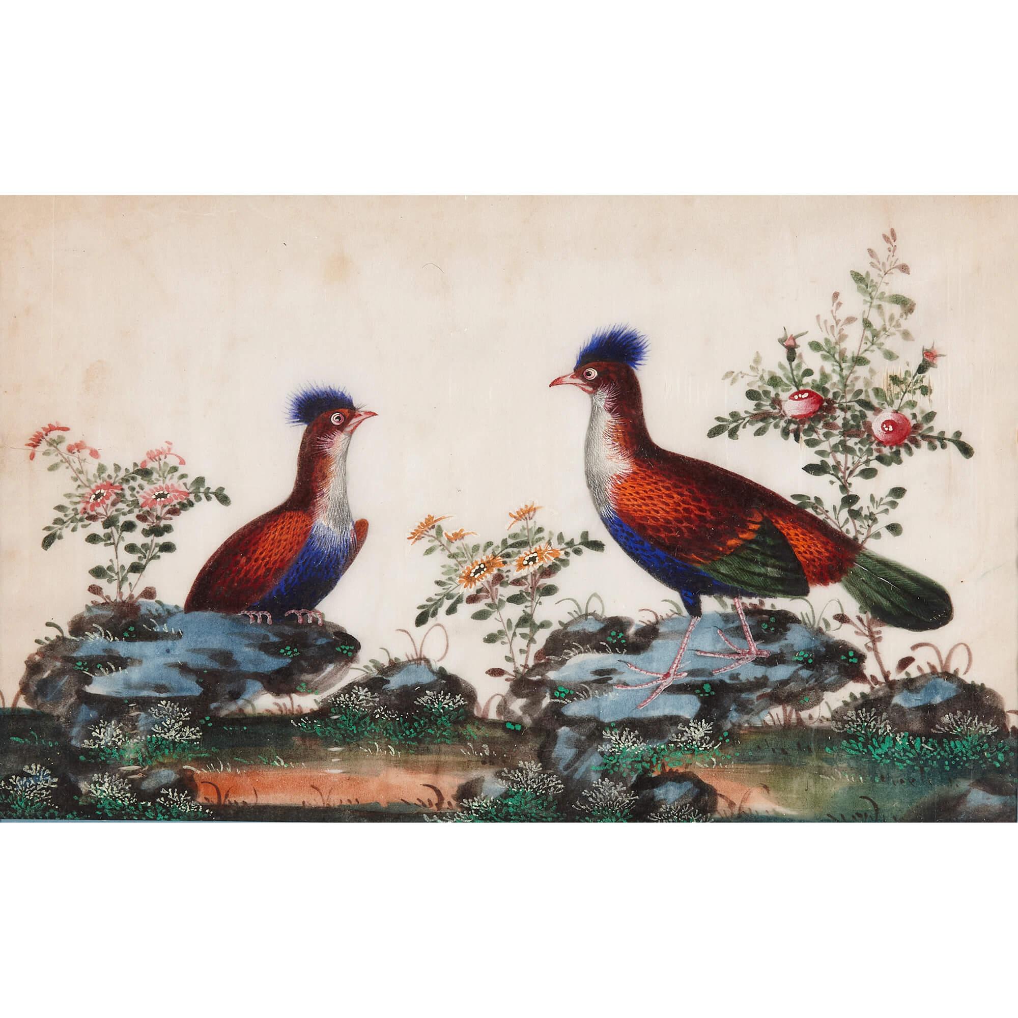 Set of Twelve Antique Chinese Painted Bird Studies on Pith Paper For Sale 5