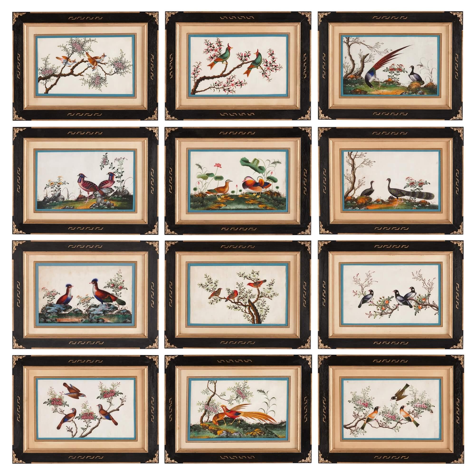 Unknown Animal Painting - Set of Twelve Antique Chinese Painted Bird Studies on Pith Paper