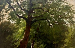 Ponte Coperto nel cuore della foresta del New England