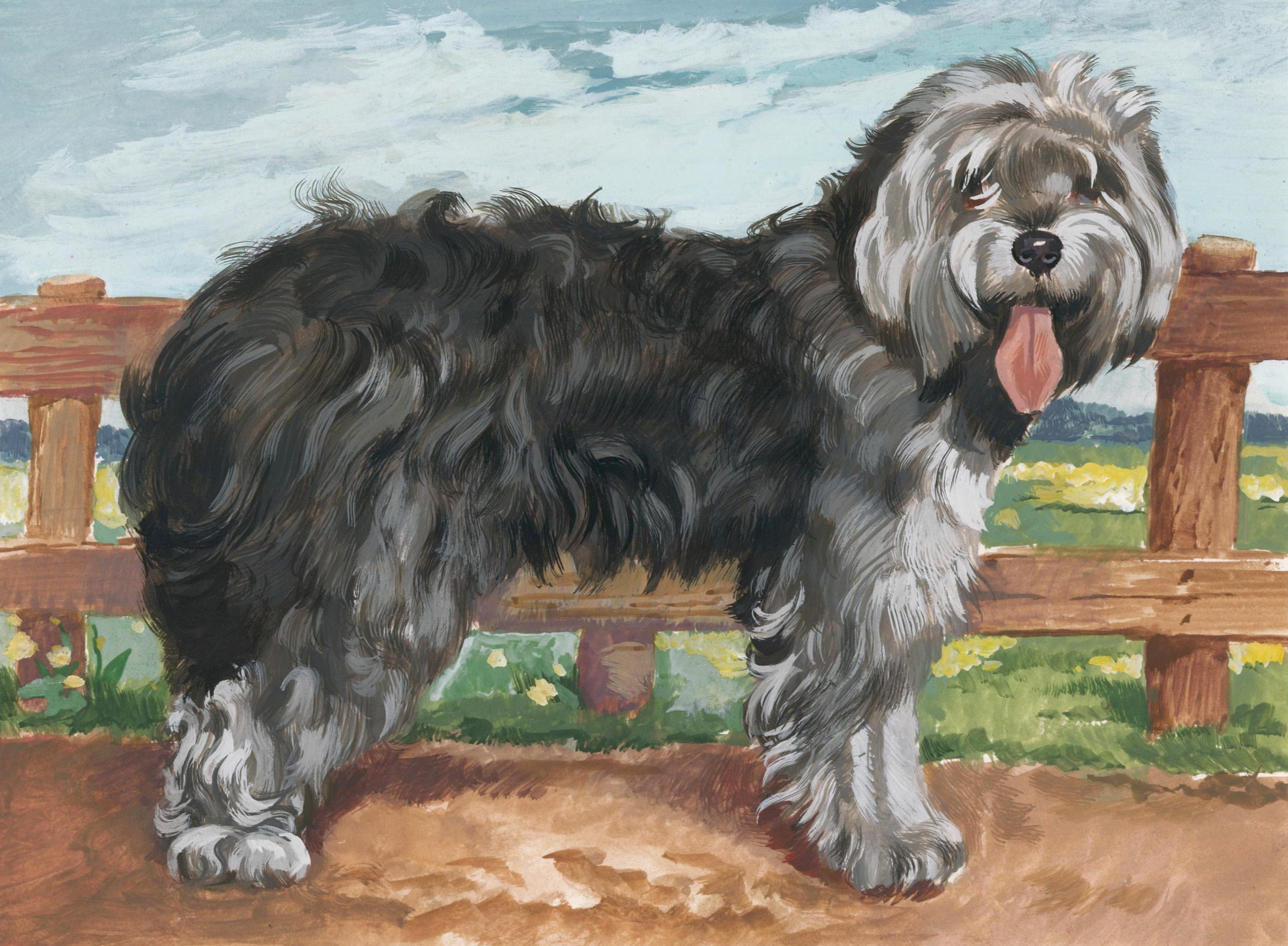 Unknown Animal Painting - Sheepdog Painting