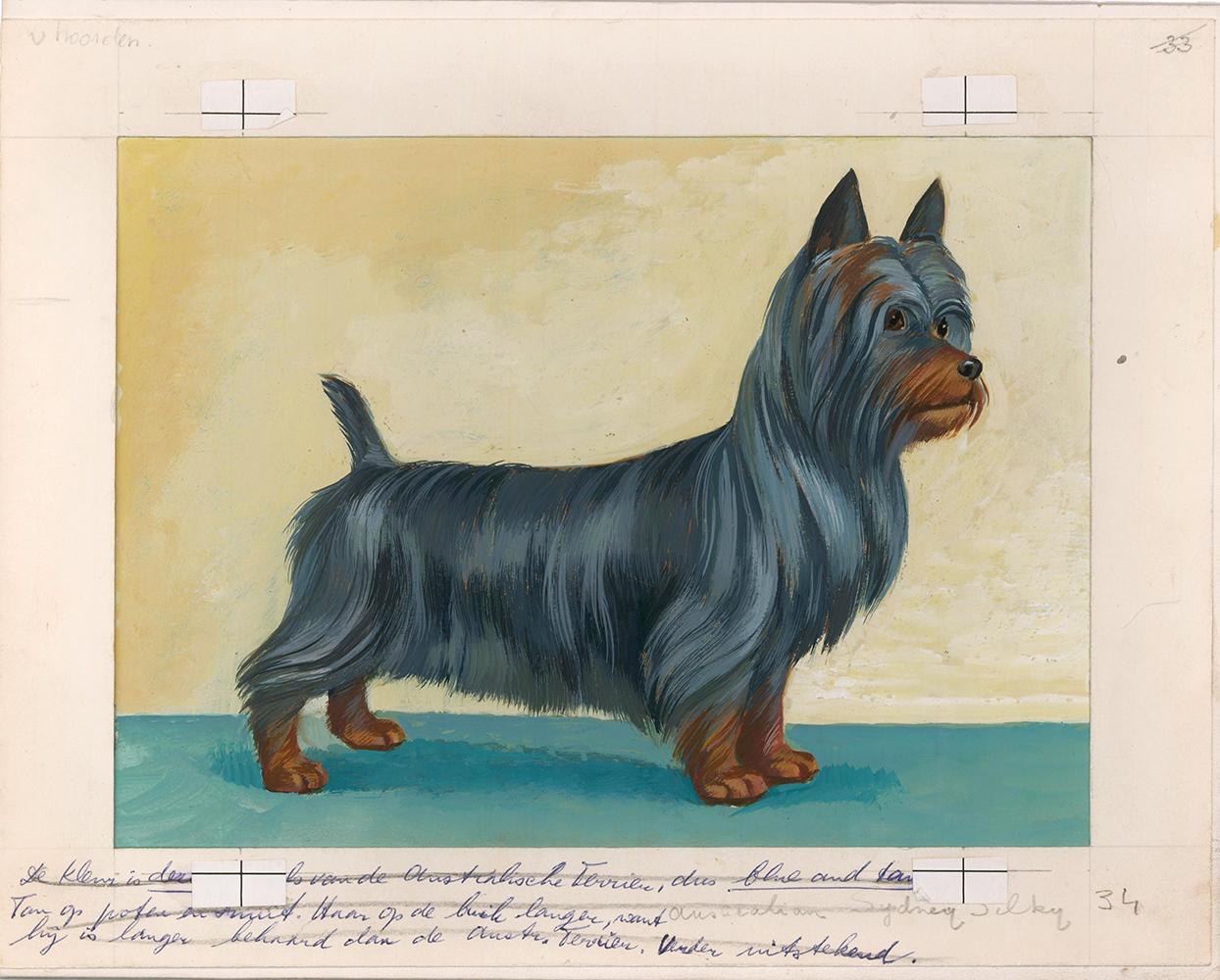 Pintura Terrier sedoso - Painting de Unknown