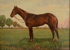 Singingwood (J. H. Whitney prize racehorse)