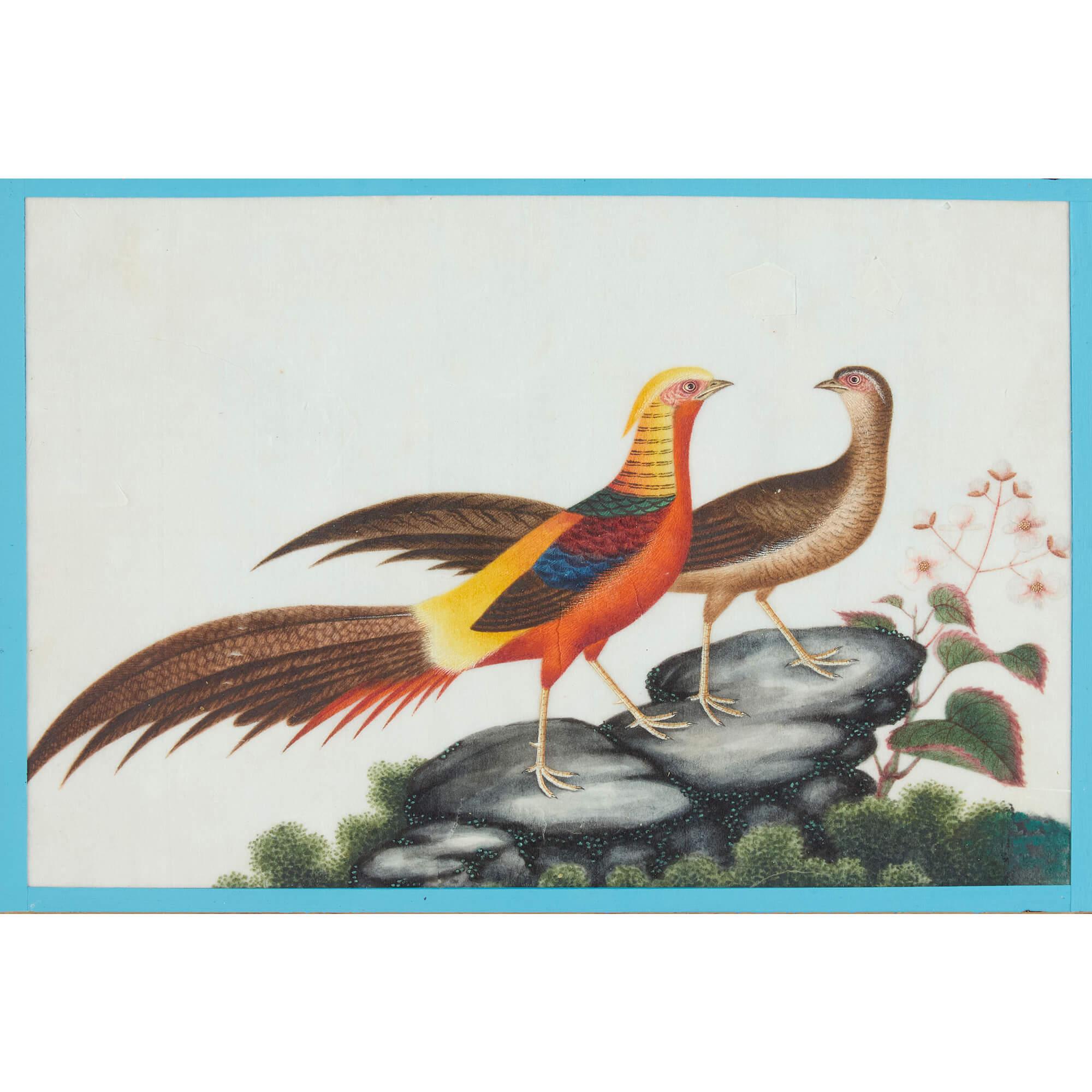 Sechs antike Pith Reispapier Chinesisch Aquarell Gemälde Vögel – Painting von Unknown