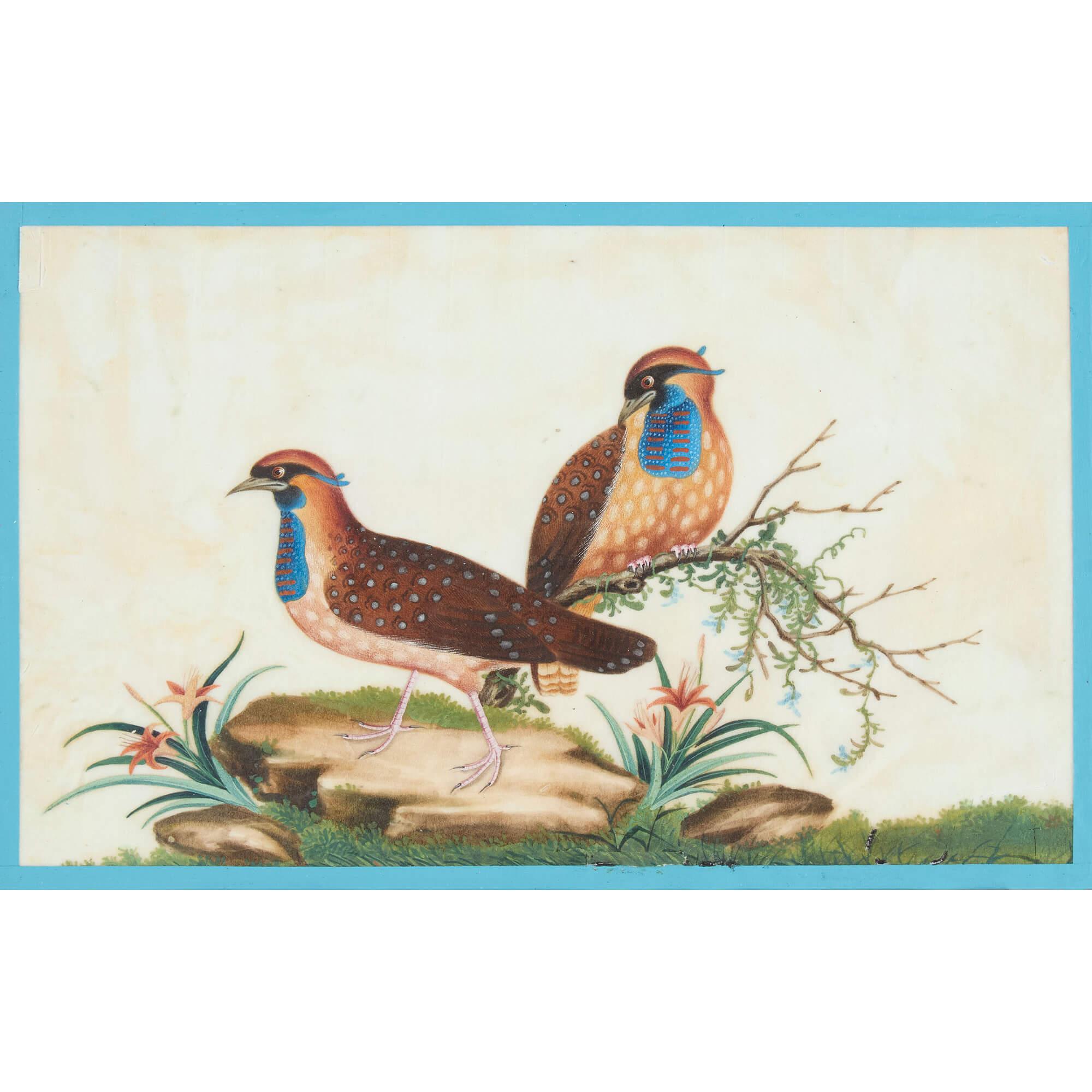 Sechs antike Pith Reispapier Chinesisch Aquarell Gemälde Vögel  
Chinesisch, 19. Jahrhundert  
Höhe 33cm, Breite 42,5cm, Tiefe 1,5cm 

Dieses bezaubernde Set von sechs chinesischen Gemälden aus dem 19. Jahrhundert zeigt auf wunderbare Weise die