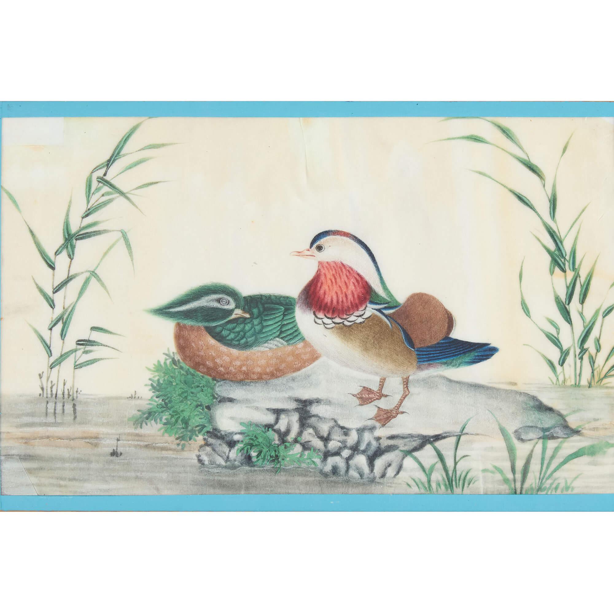 Sechs antike Pith Reispapier Chinesisch Aquarell Gemälde Vögel im Angebot 1