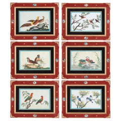 Sechs antike Pith Reispapier Chinesisch Aquarell Gemälde Vögel