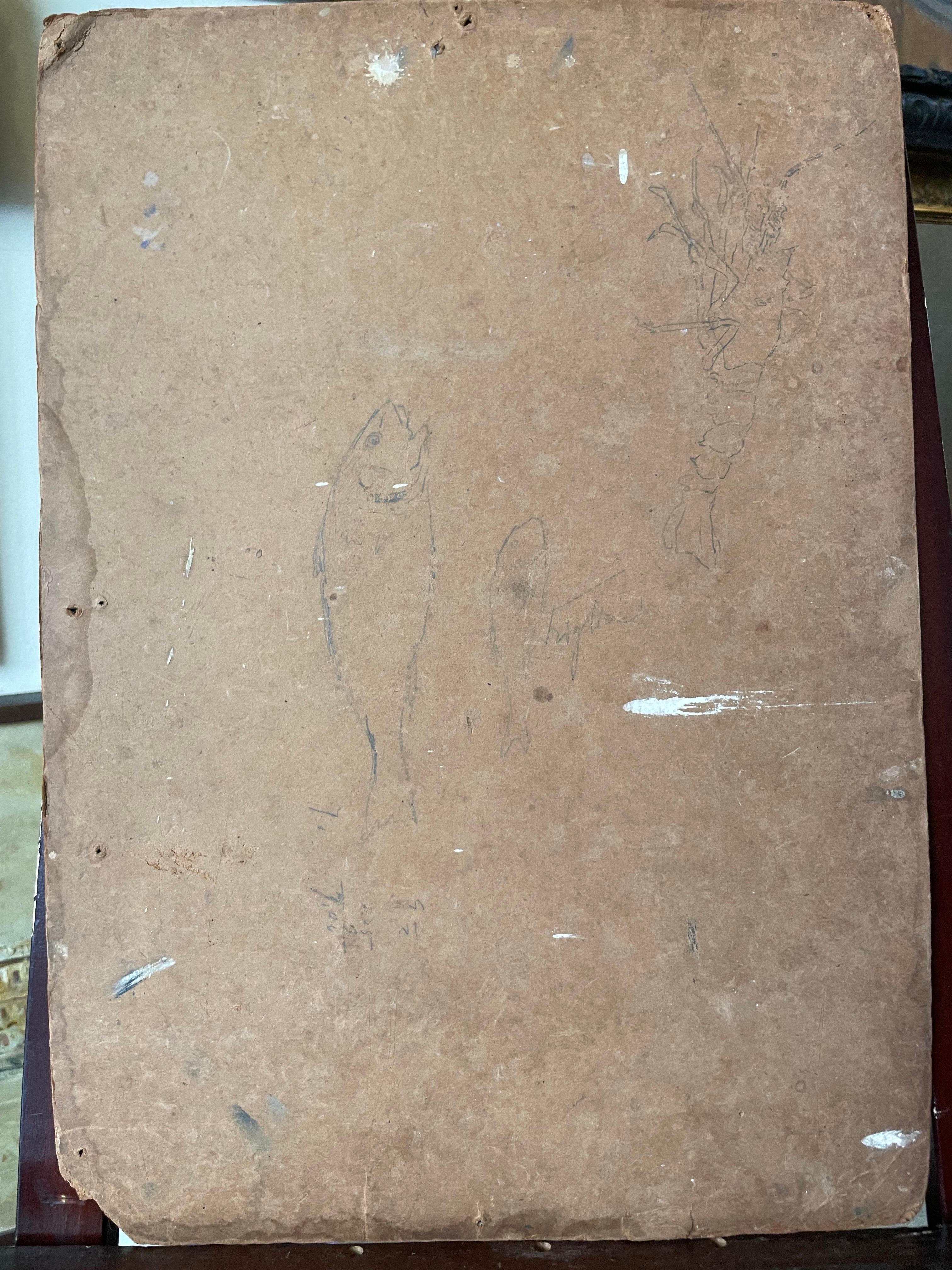 Boceto de pescado recién pescado colgado de una cuerda. Escuela italiana. en venta 10