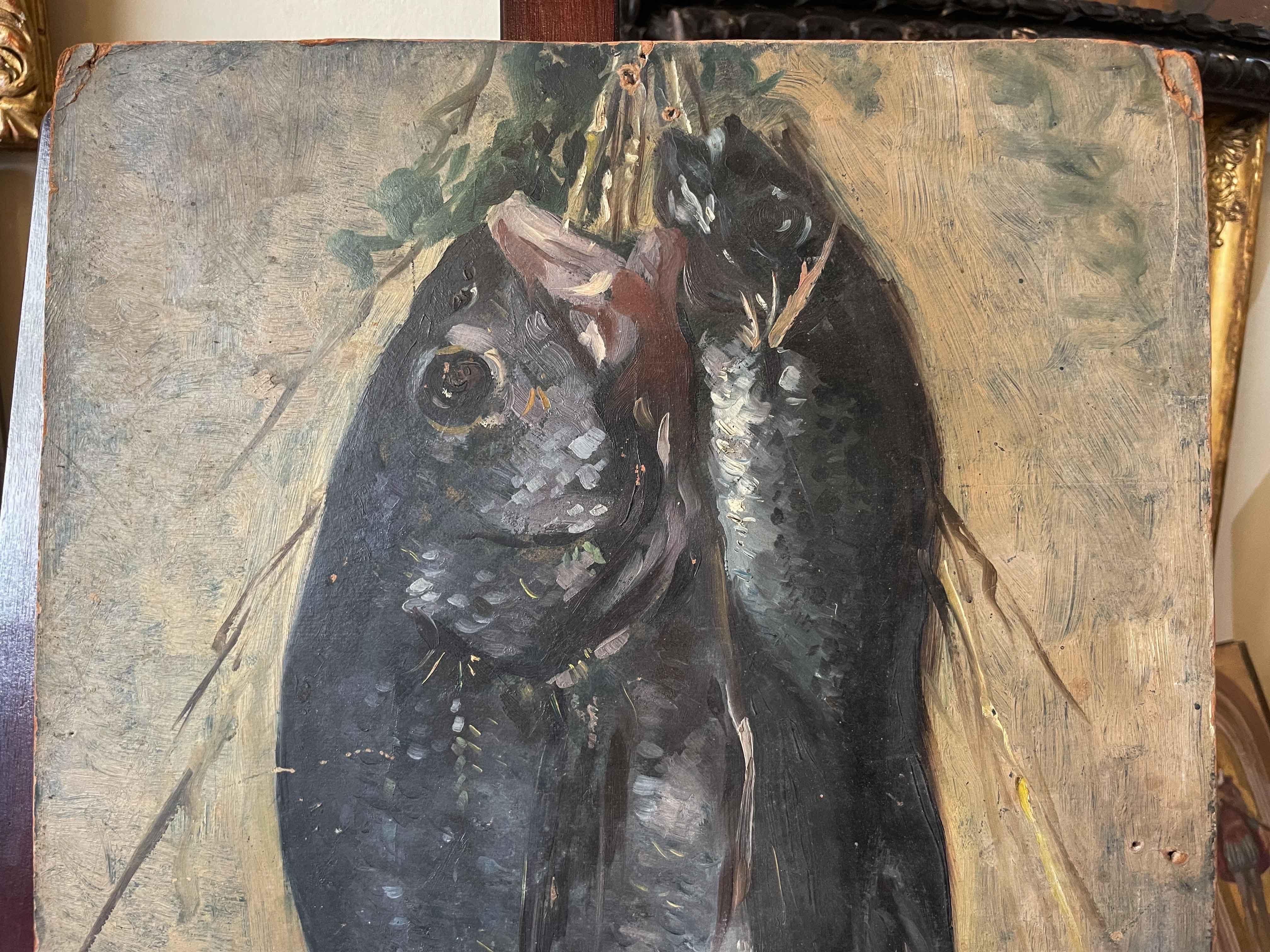 Boceto de pescado recién pescado colgado de una cuerda. Escuela italiana. - Painting de Unknown