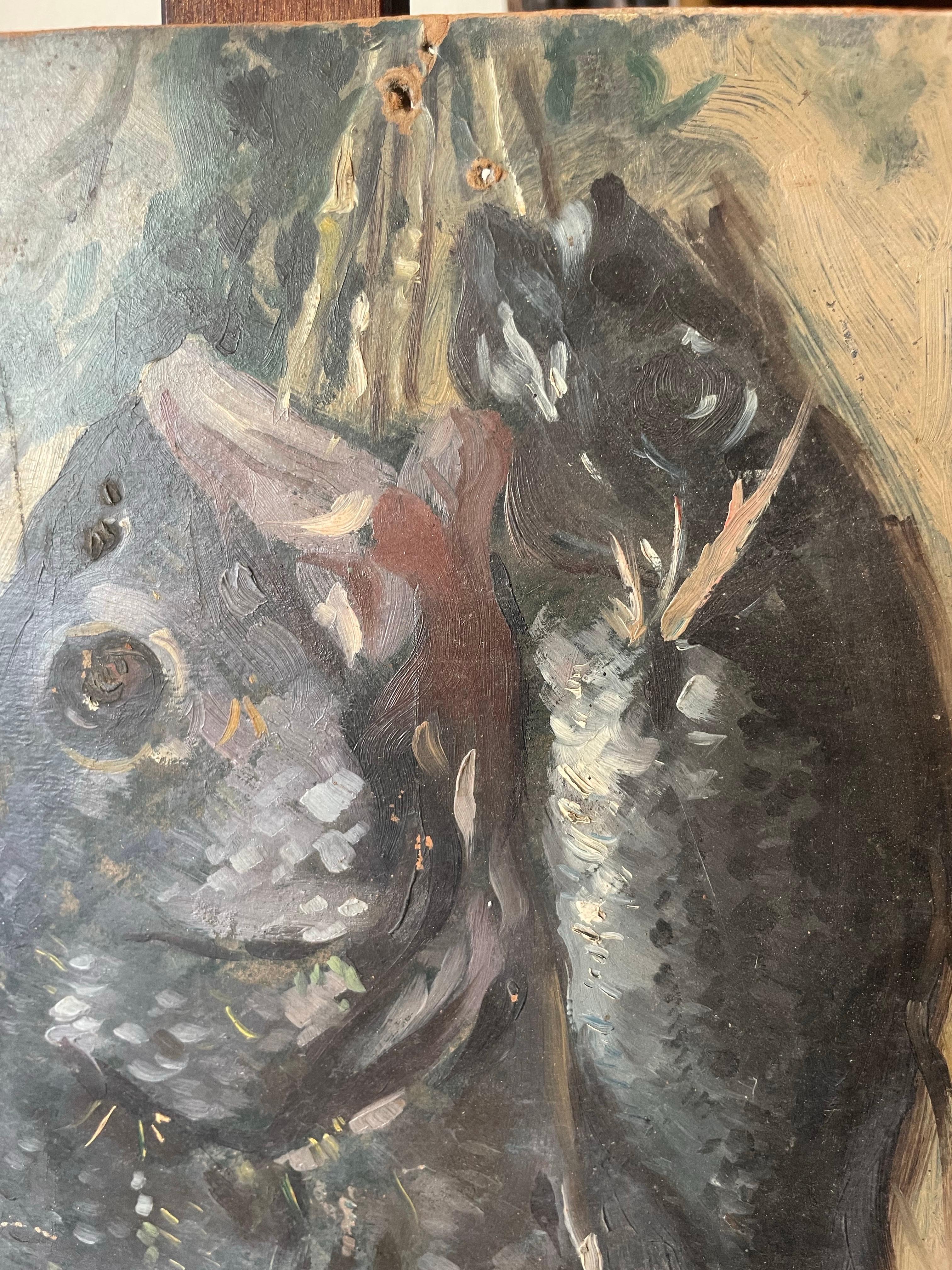 Boceto de pescado recién pescado colgado de una cuerda. Escuela italiana. en venta 16