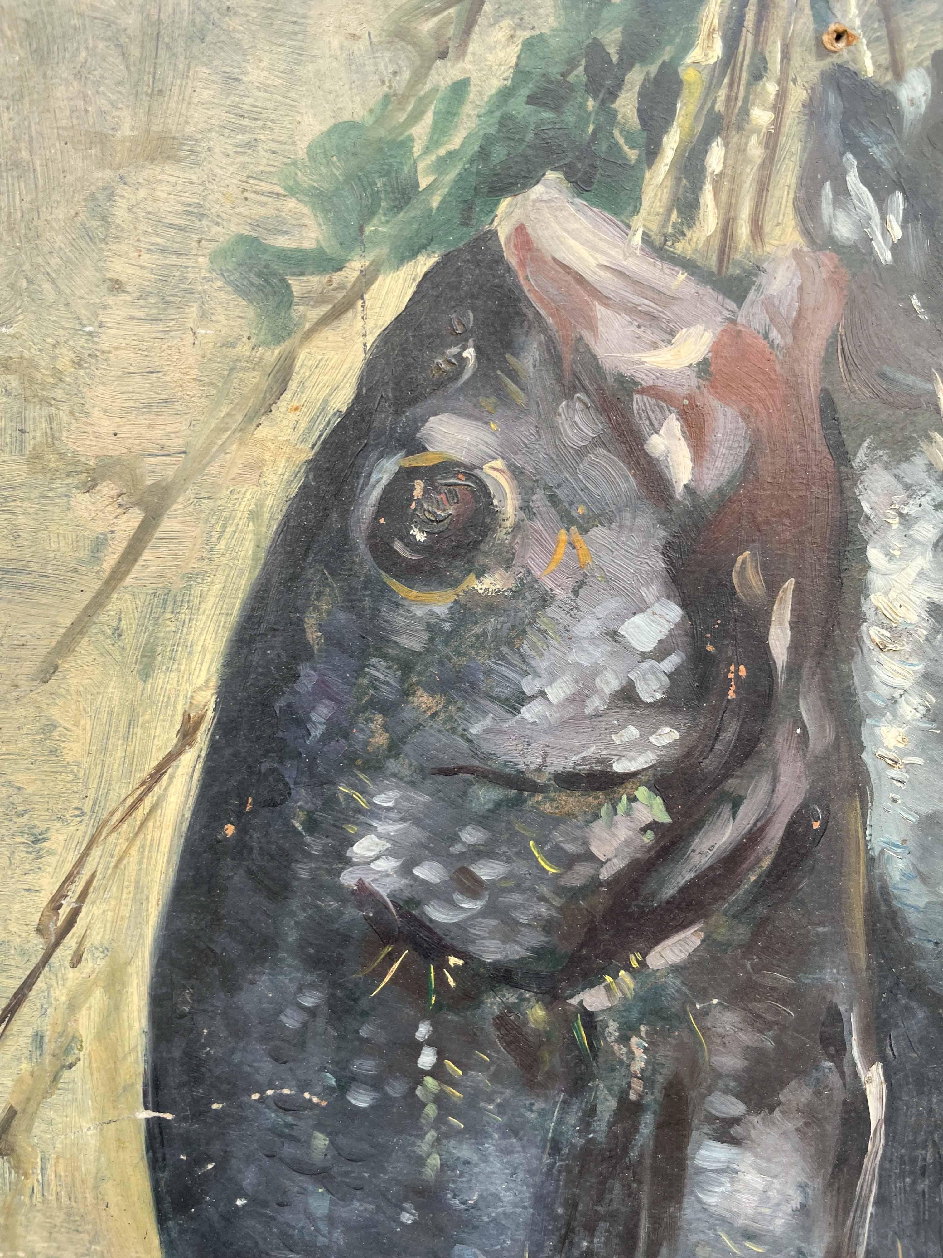 Boceto de pescado recién pescado colgado de una cuerda. Escuela italiana. en venta 1