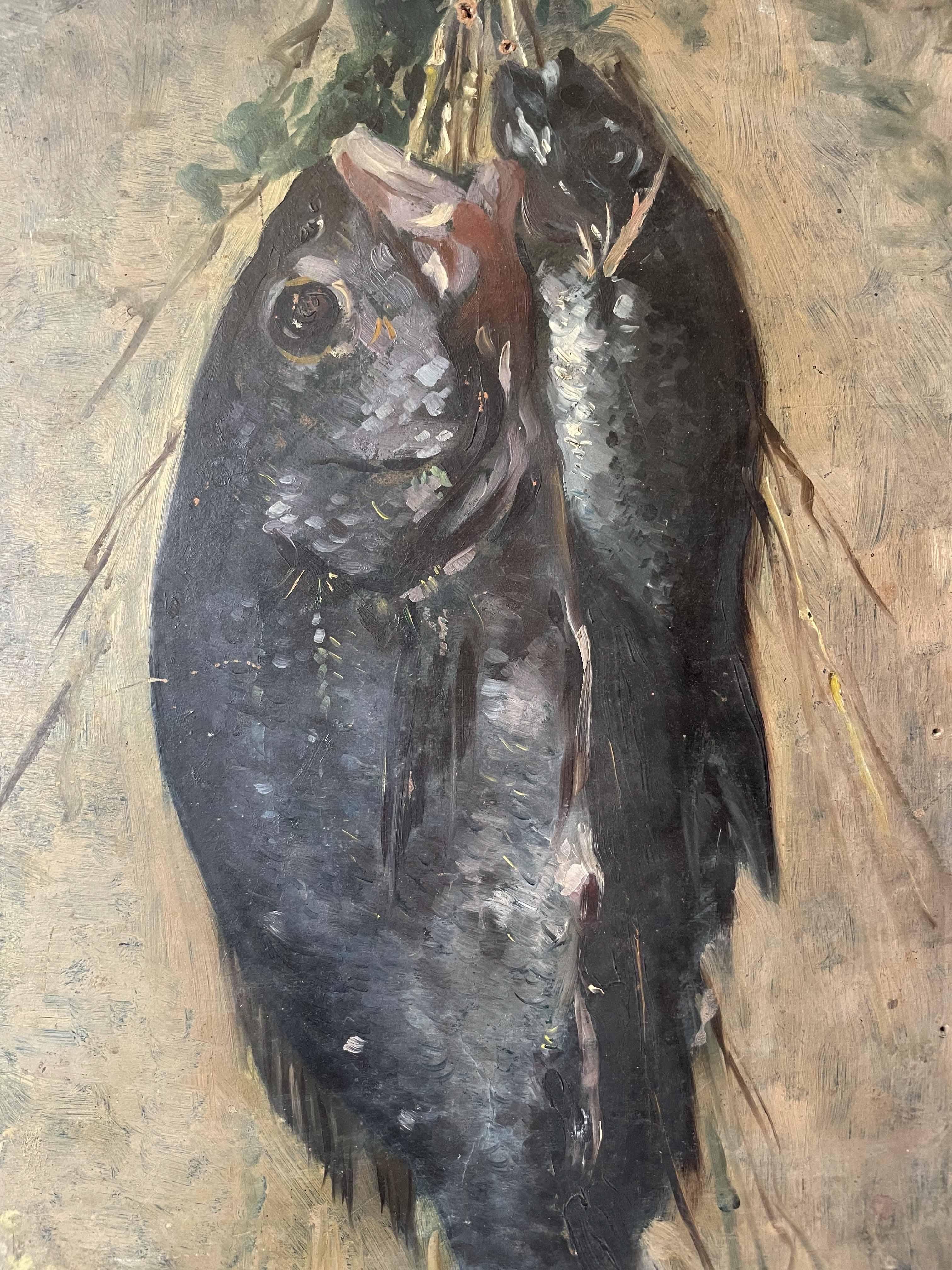 Boceto de pescado recién pescado colgado de una cuerda. Escuela italiana. en venta 4