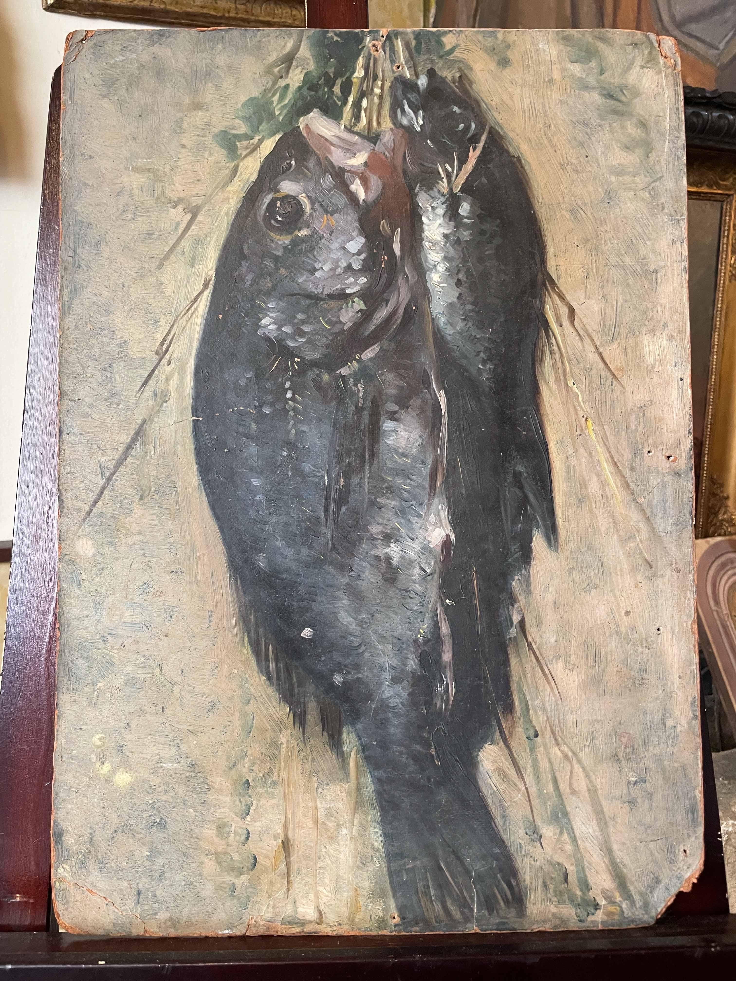 Boceto de pescado recién pescado colgado de una cuerda. Escuela italiana. en venta 5