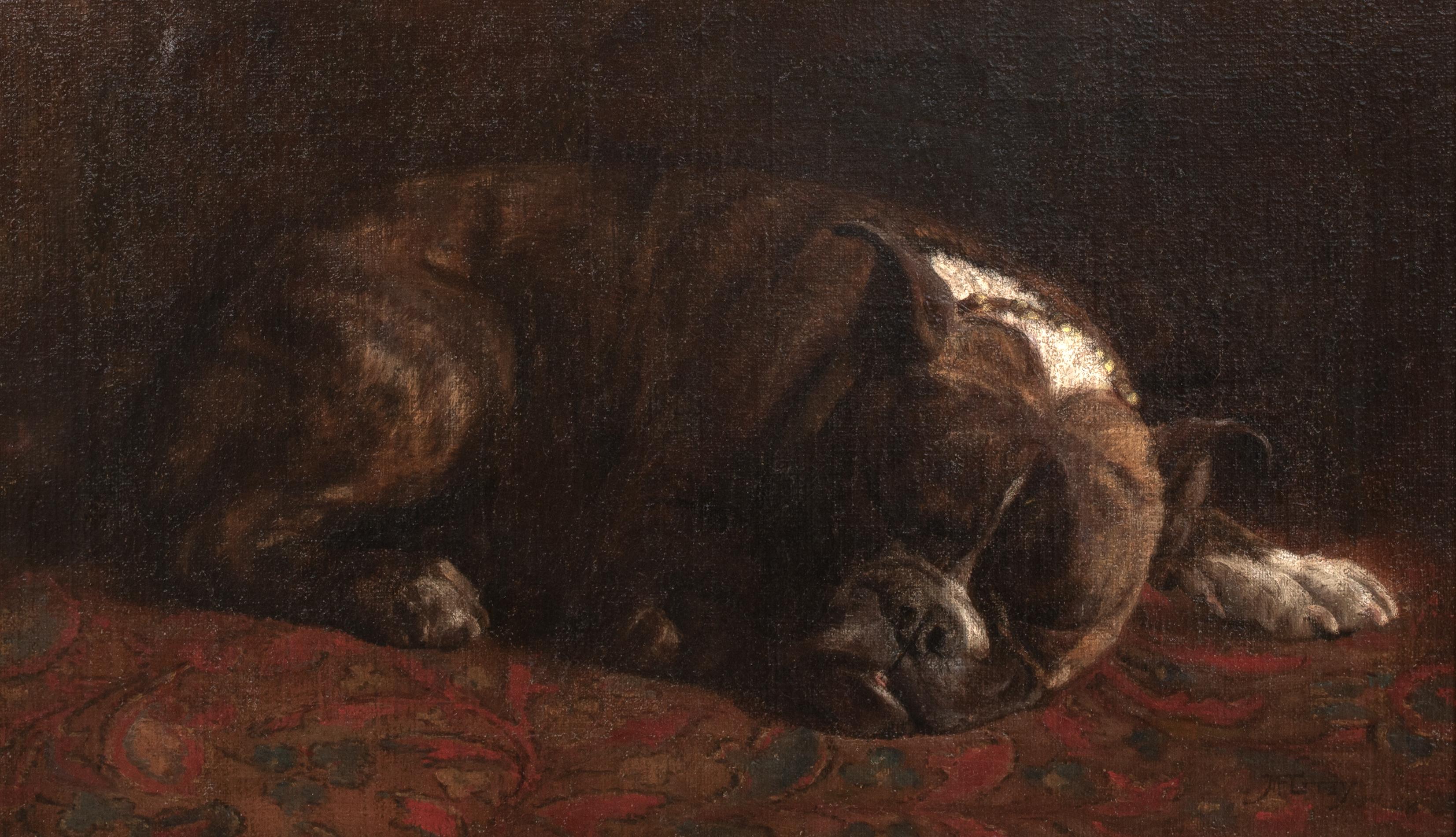 Chien américain endormi, 19ème siècle  par MONICA GRAY (19ème siècle) - Gris Animal Painting par Unknown
