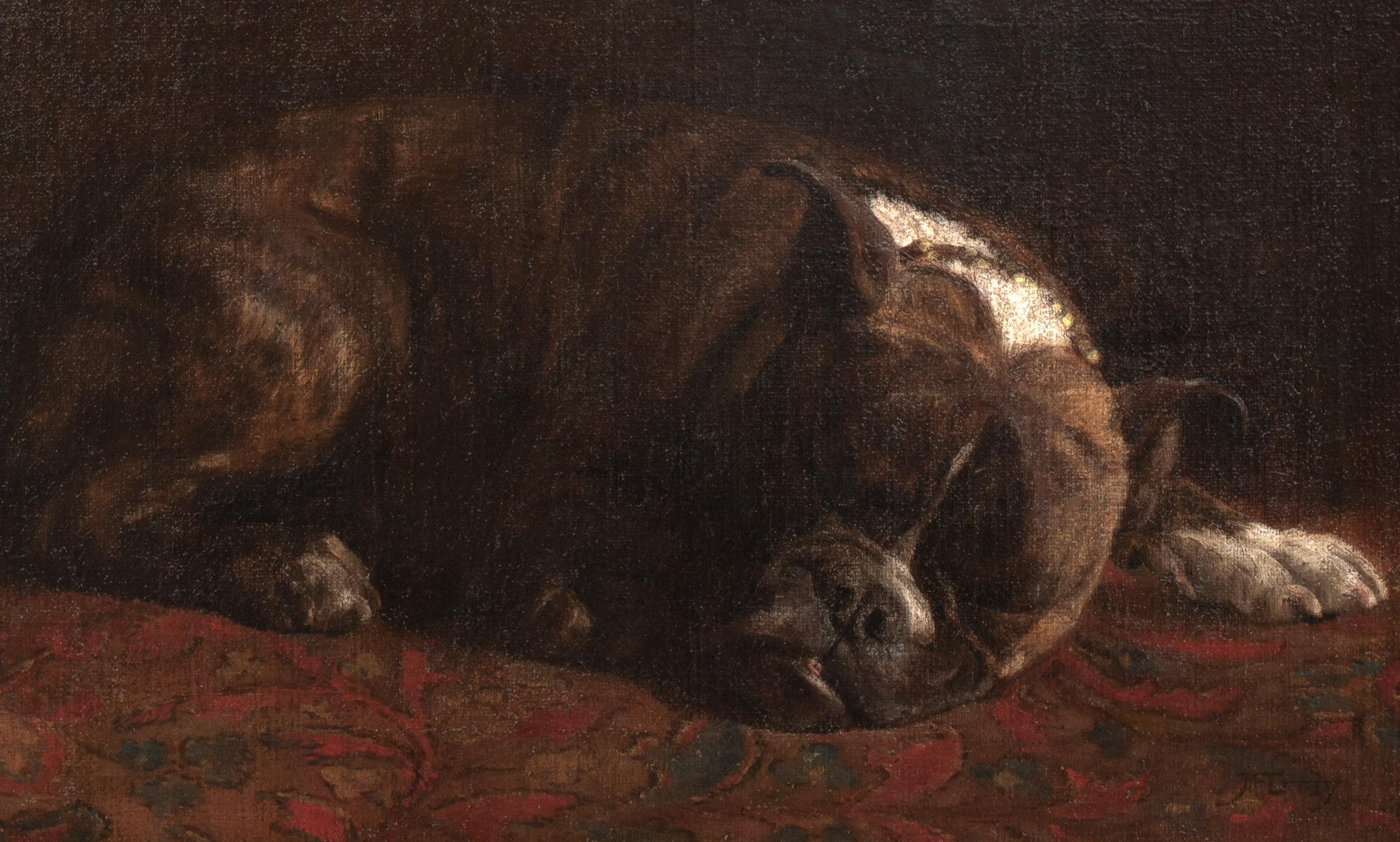 Chien américain endormi, 19ème siècle  par MONICA GRAY (19ème siècle) en vente 1