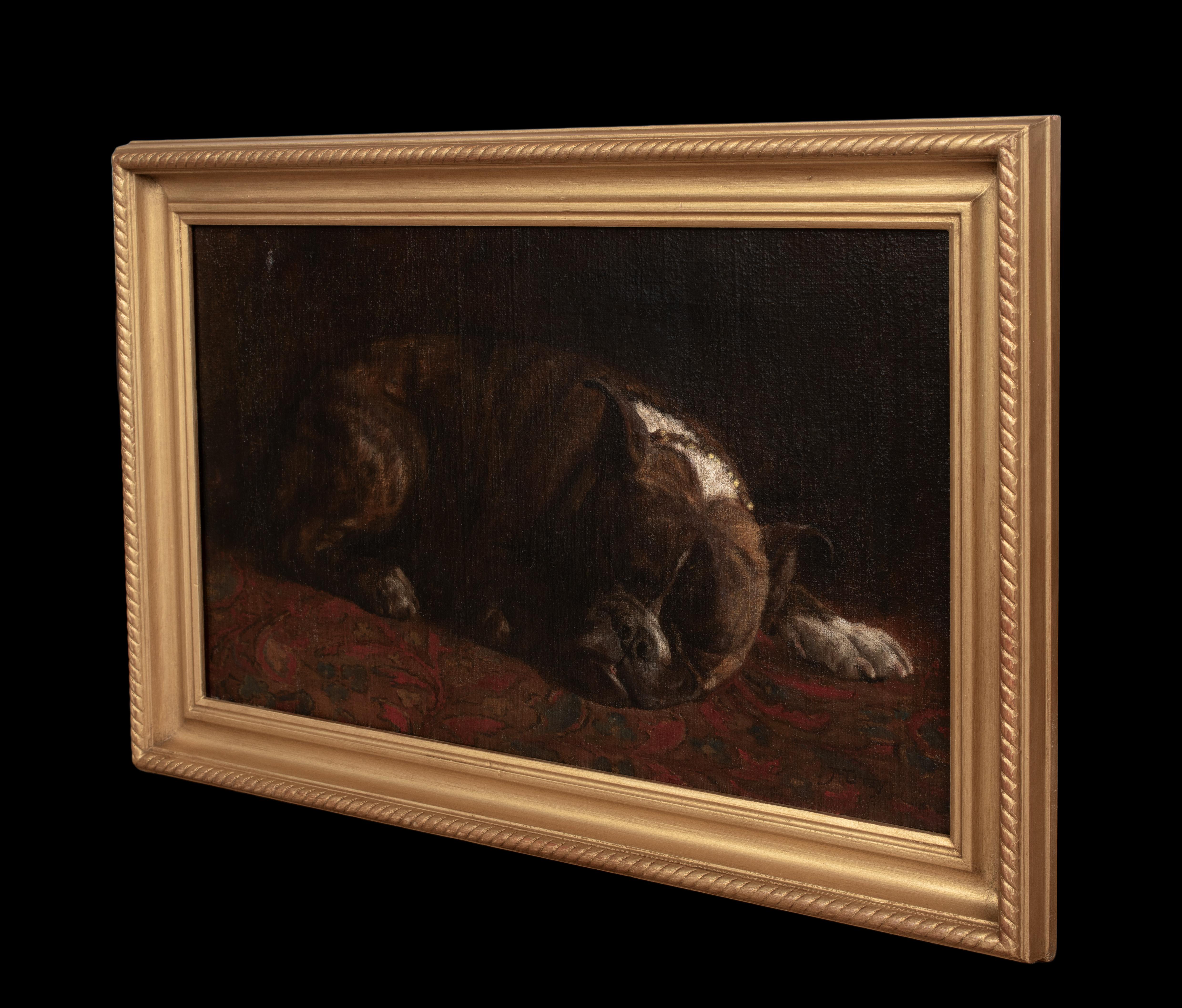 Chien américain endormi, 19ème siècle  par MONICA GRAY (19ème siècle) en vente 4