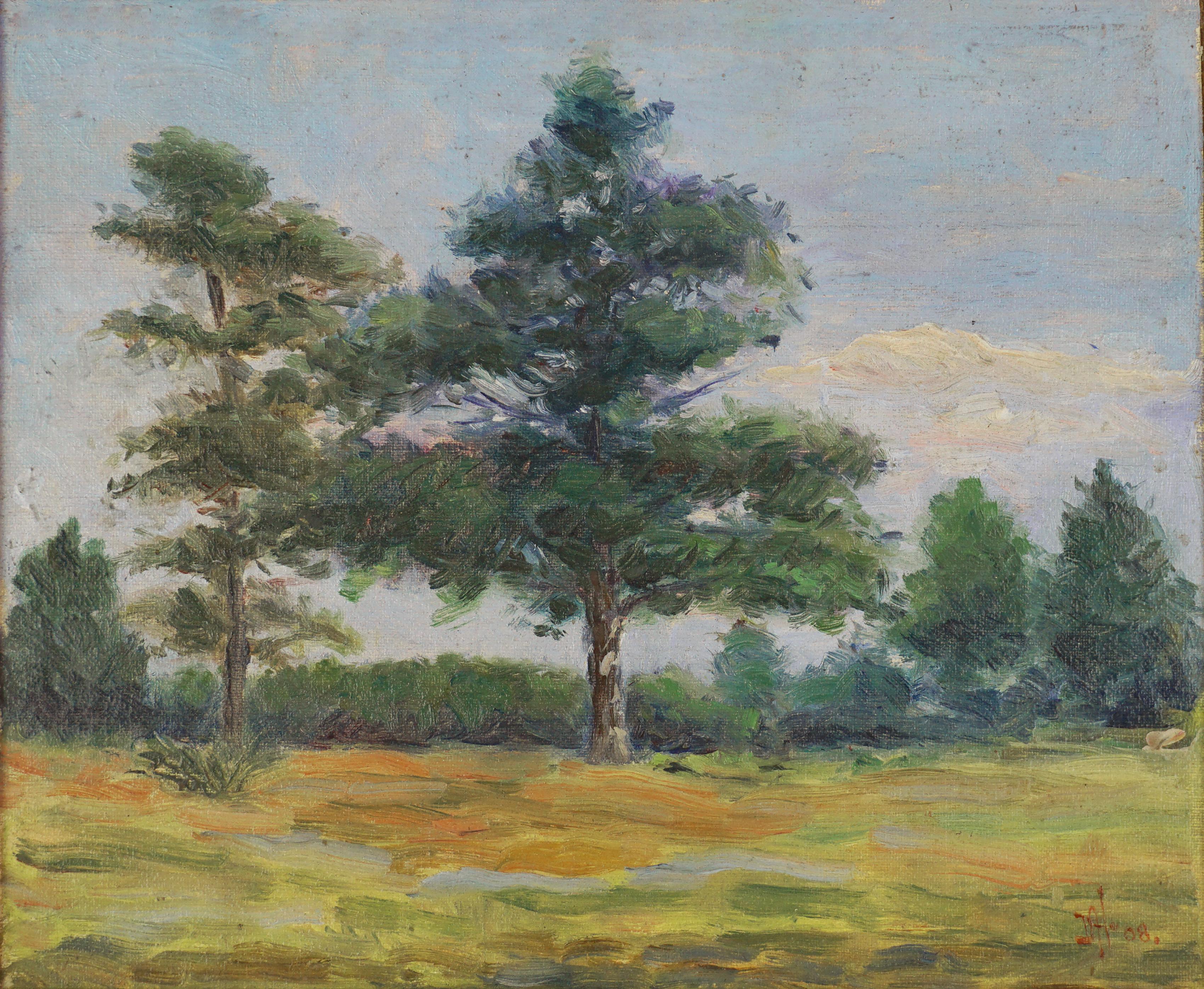 Small Early 20th Century California Plein Air Pine Trees Landscape - Painting by Unknown