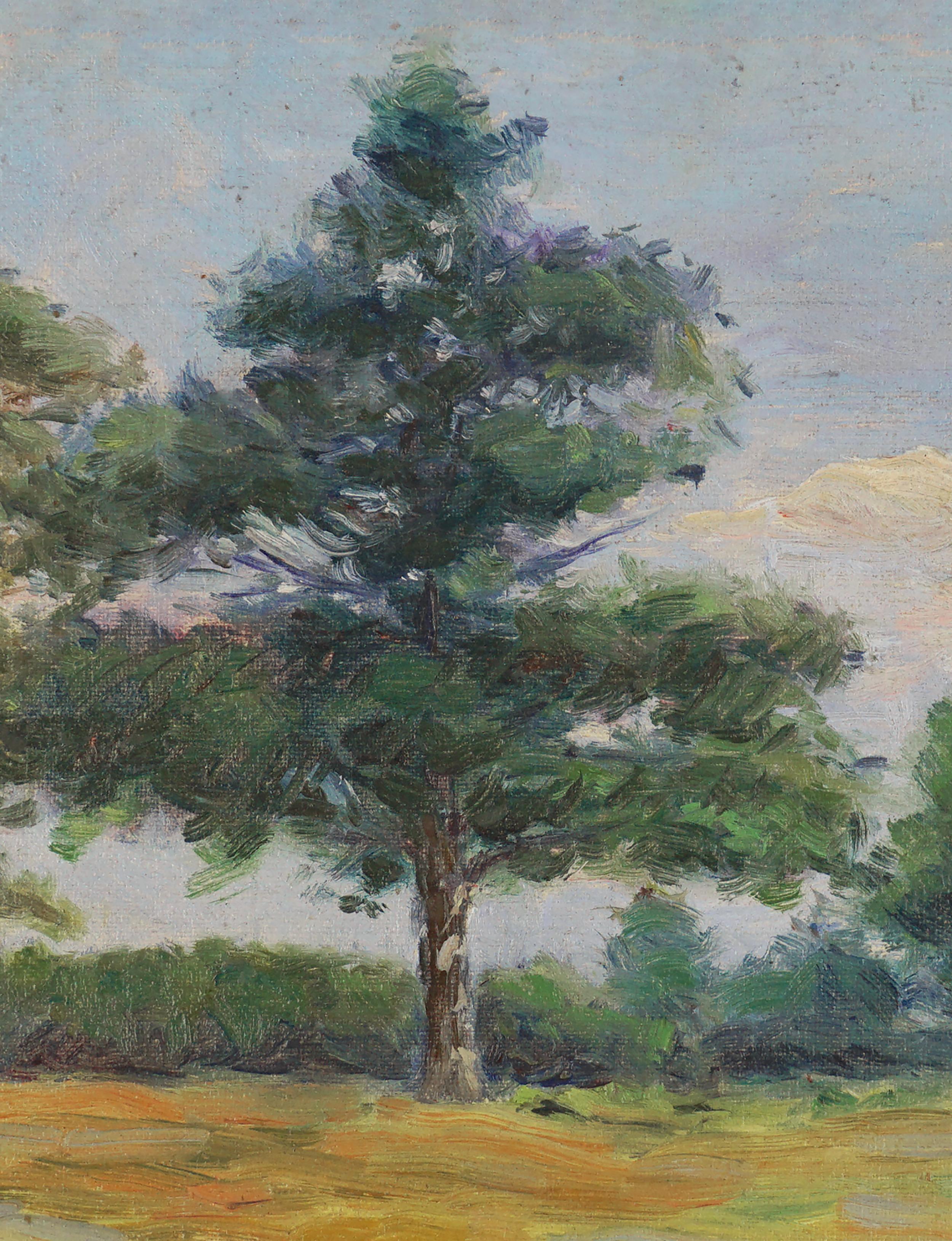 Kleine kalifornische Plein Air Kiefernholz-Landschaft aus dem frühen 20. Jahrhundert (Amerikanischer Impressionismus), Painting, von Unknown