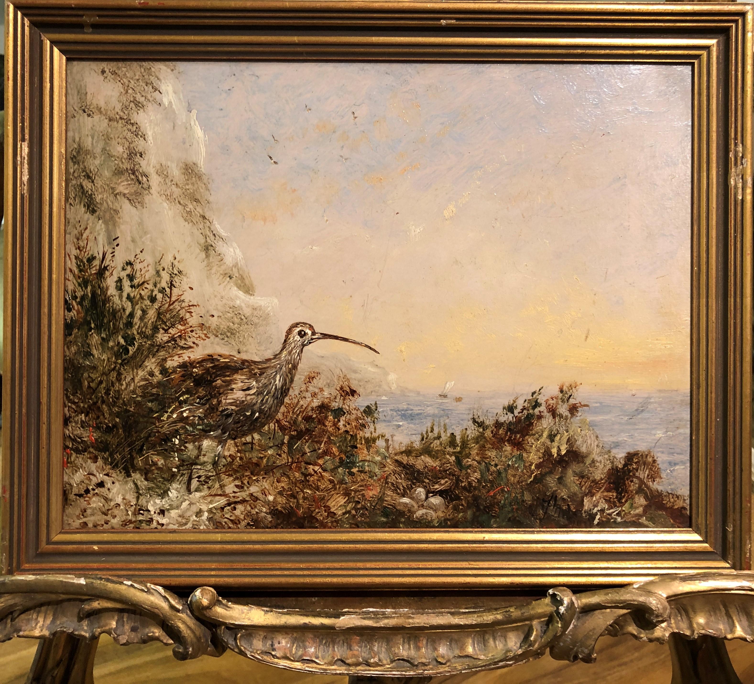 SMALL RARE OIL PAINTING ANTIQUE BIRD STUDY 19th Century Fine Quality Piece GGF For Sale 8